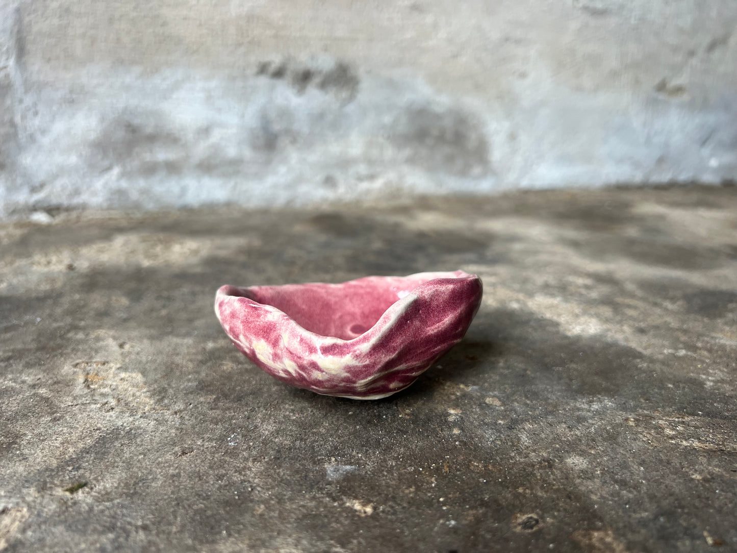 SEASHELL no5
