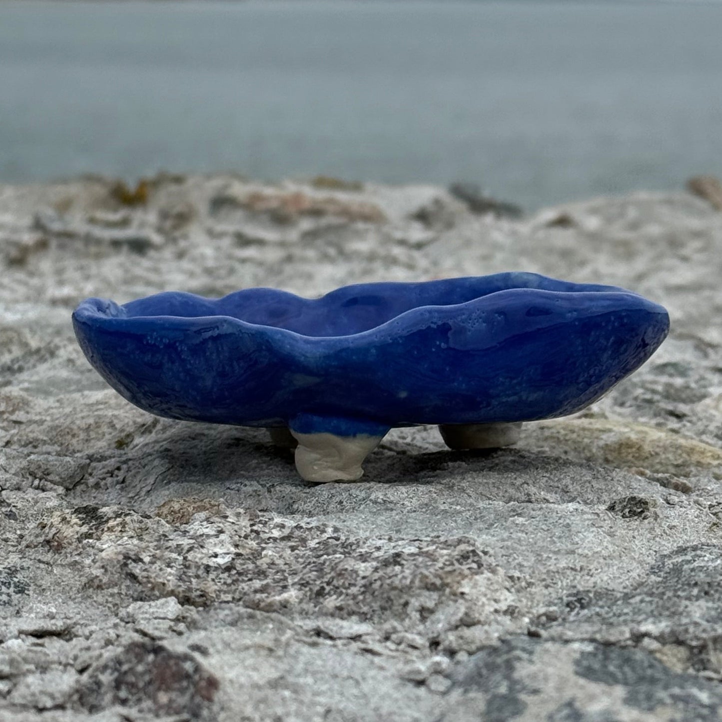 SOAP DISH no1
