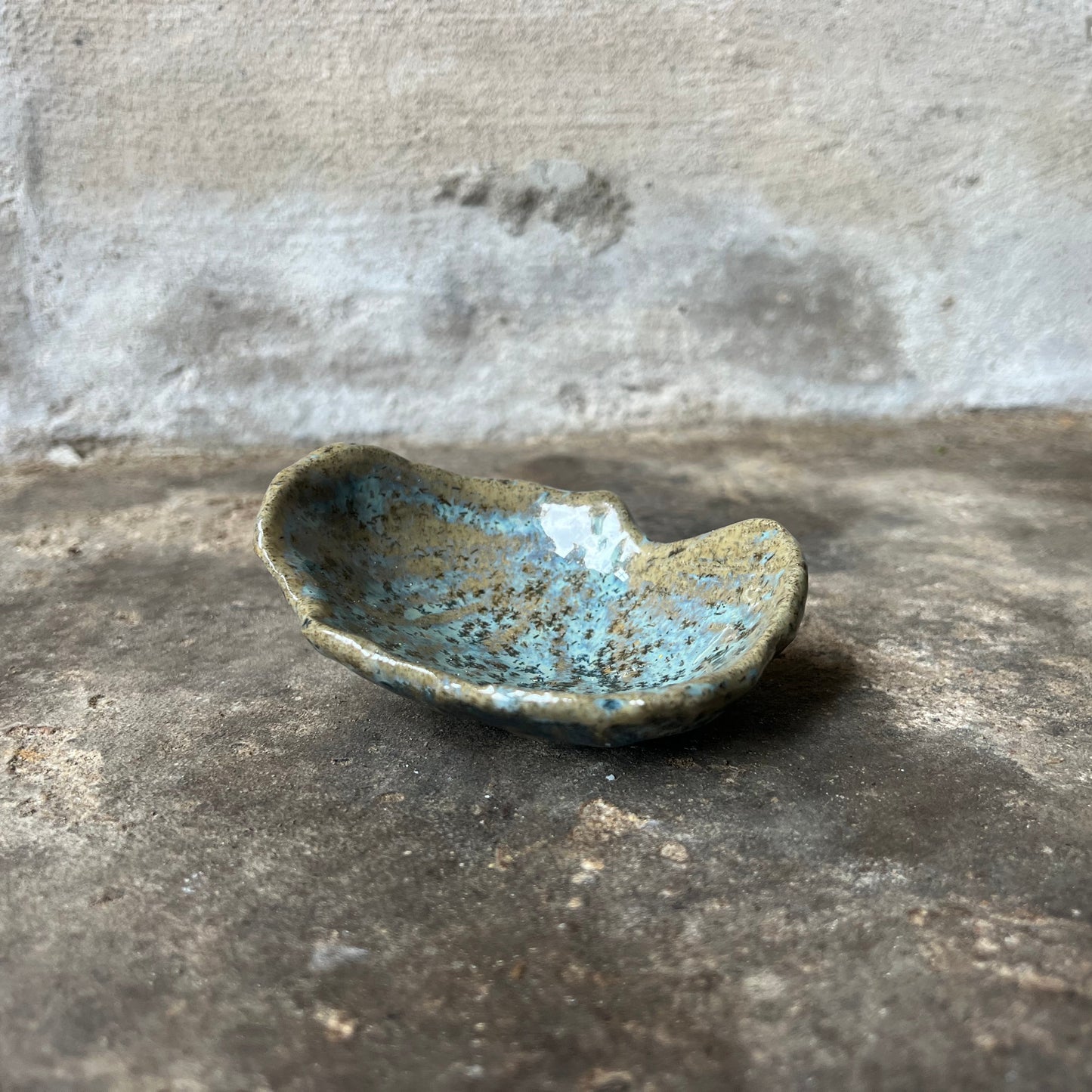 SEASHELL no6
