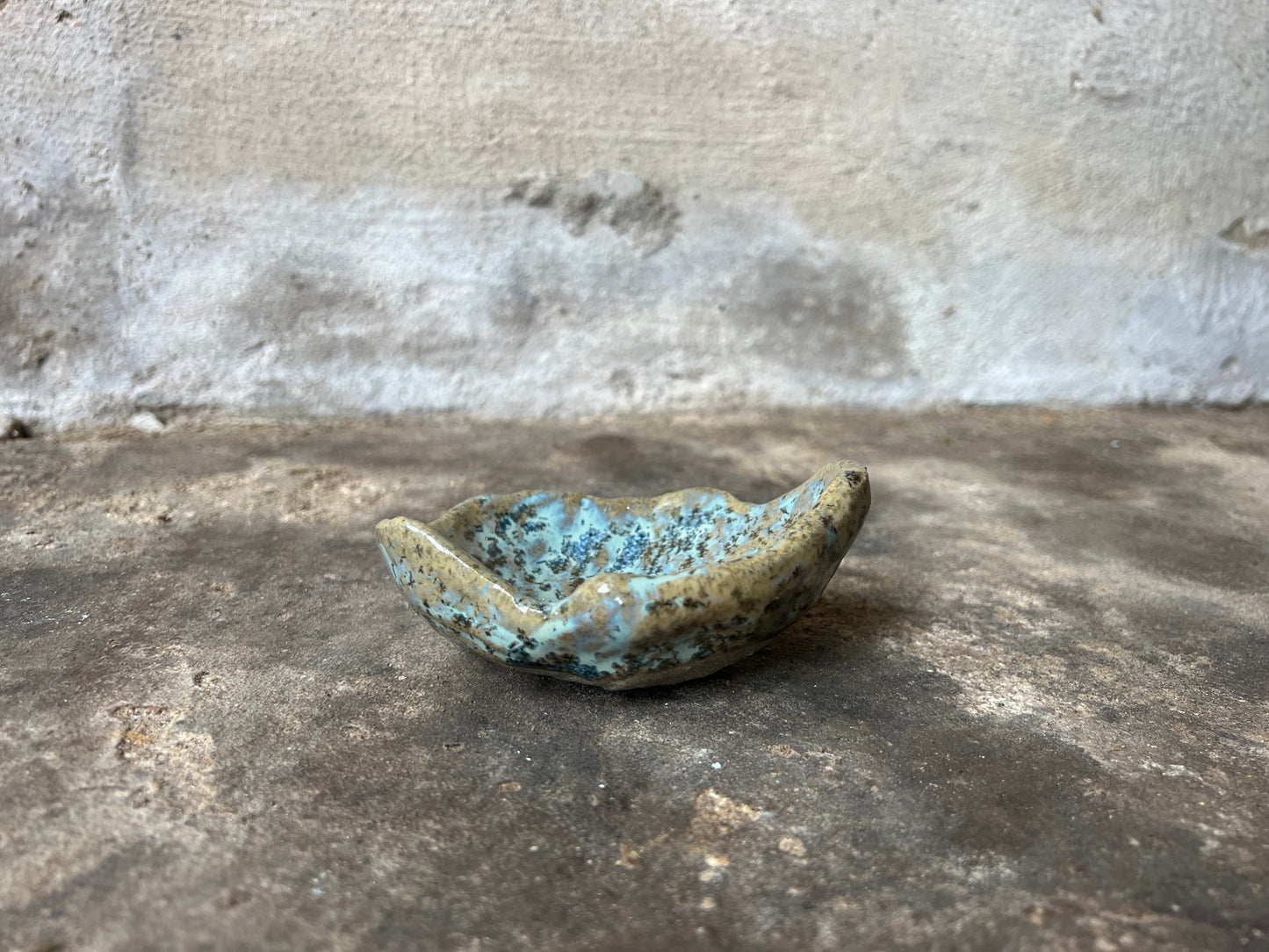 SEASHELL no6