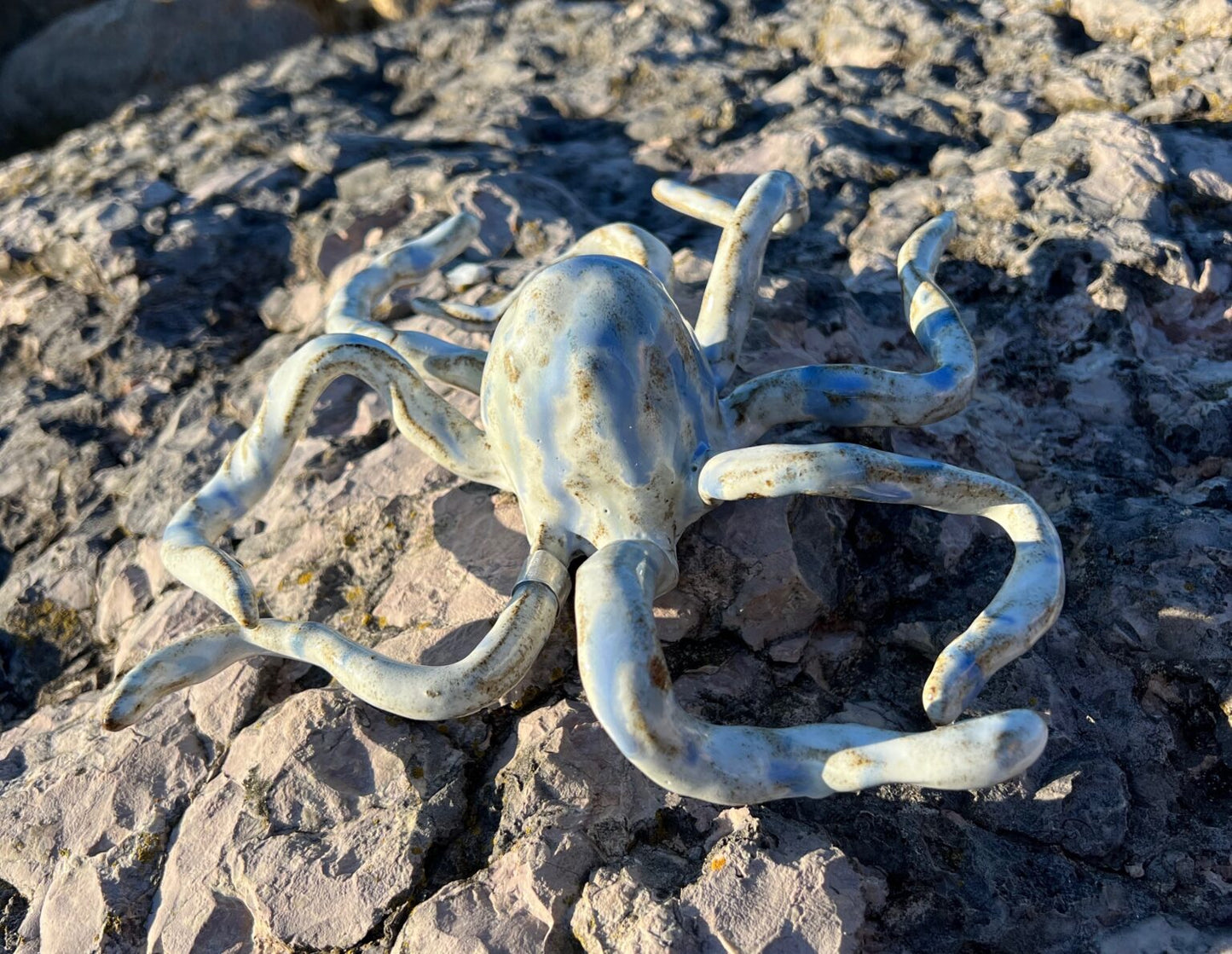 OCTOPUS