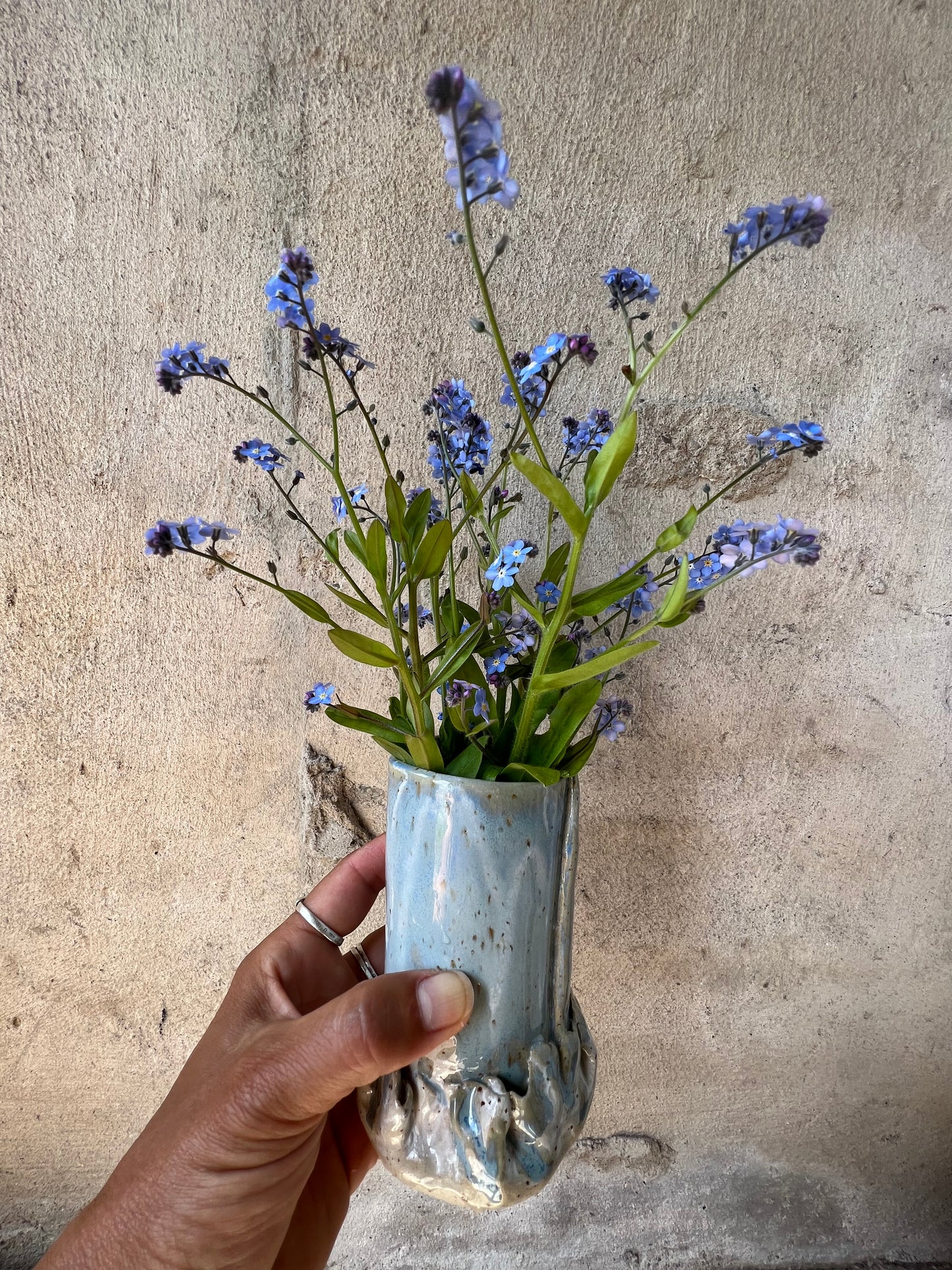 VASE no1
