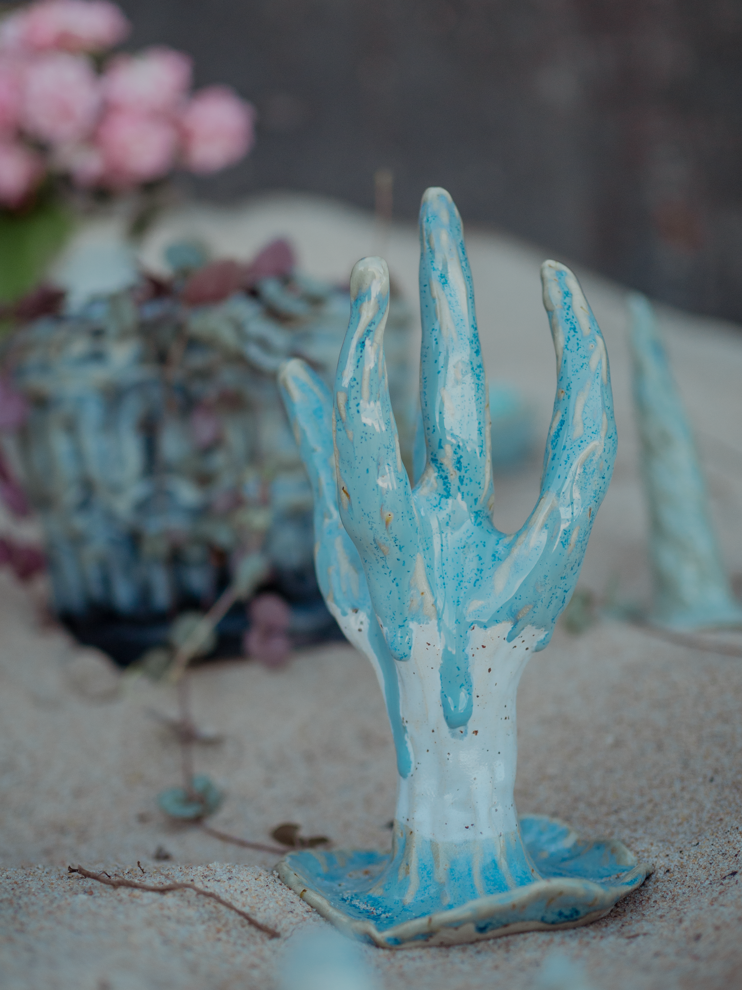 CORAL no2