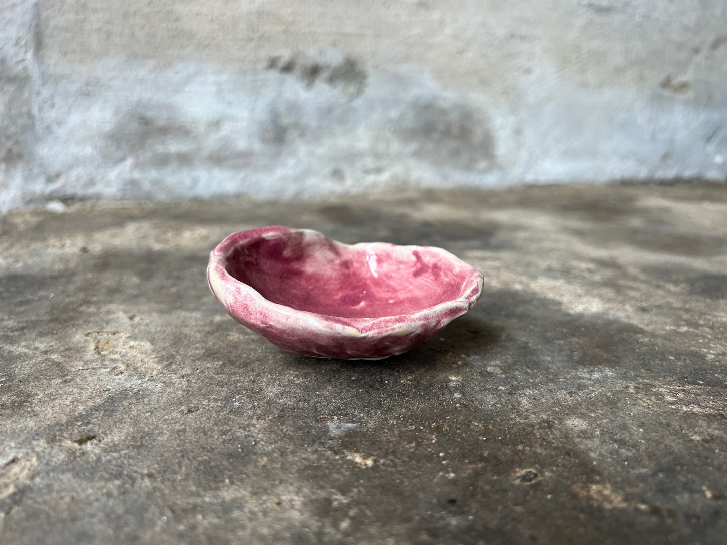 SEASHELL no5