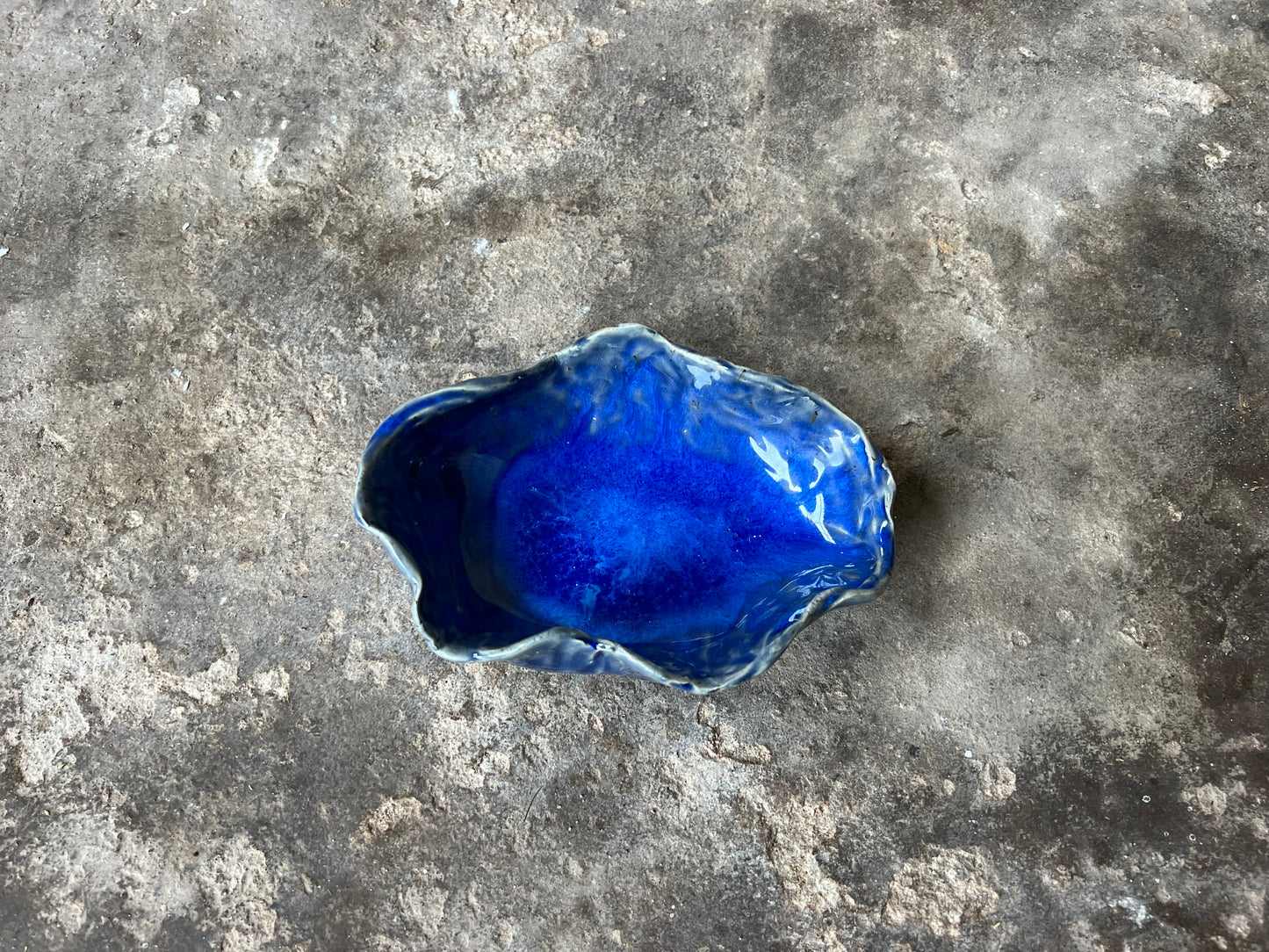 SEASHELL no4