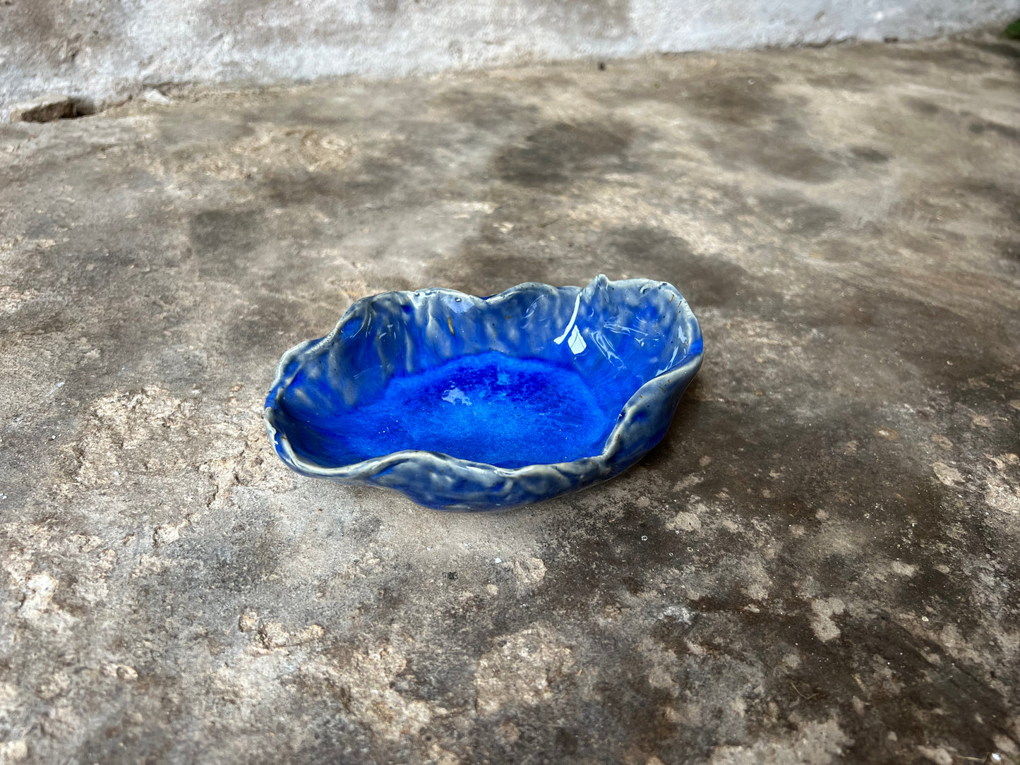 SEASHELL no4