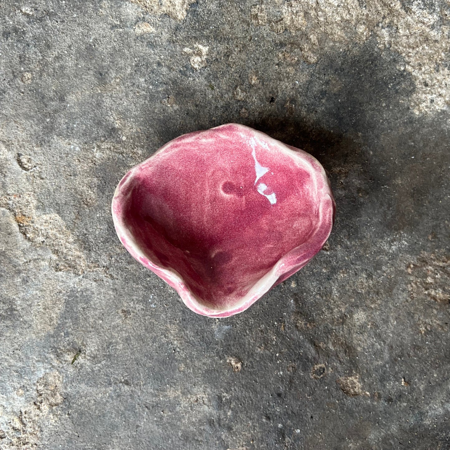 Pink ceramic shell on a textured gray surface