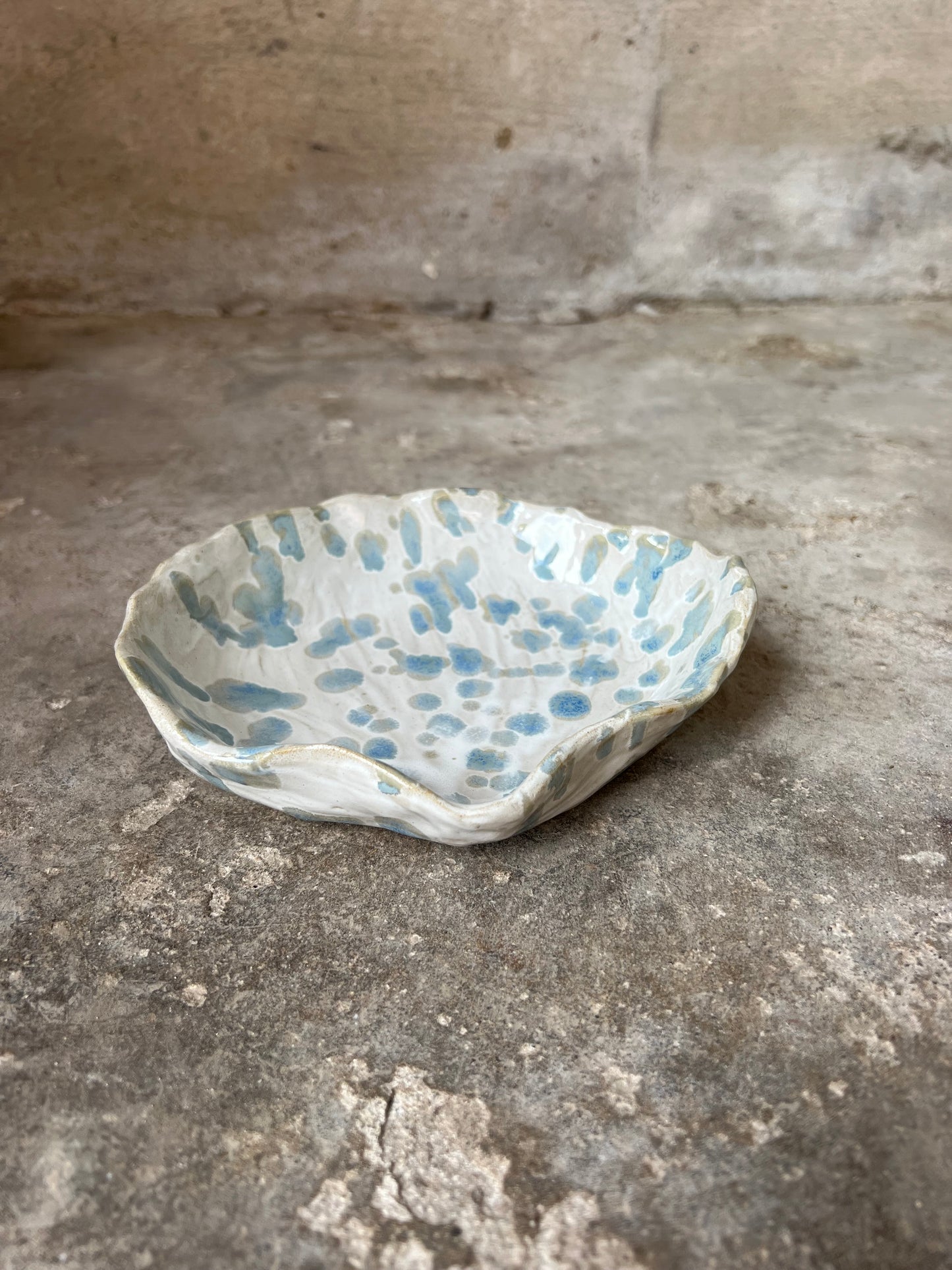 SEASHELL no2