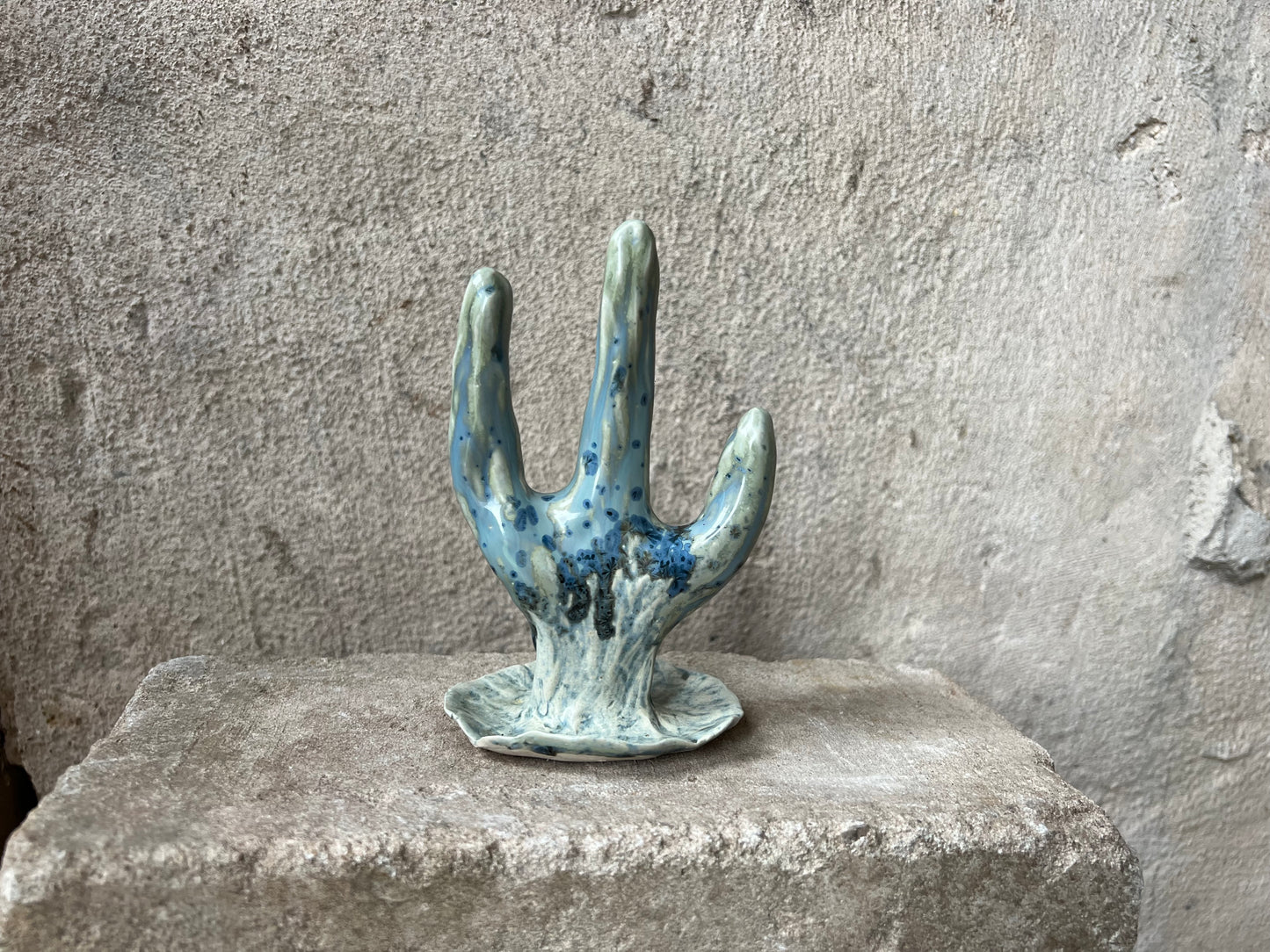 CORAL no1
