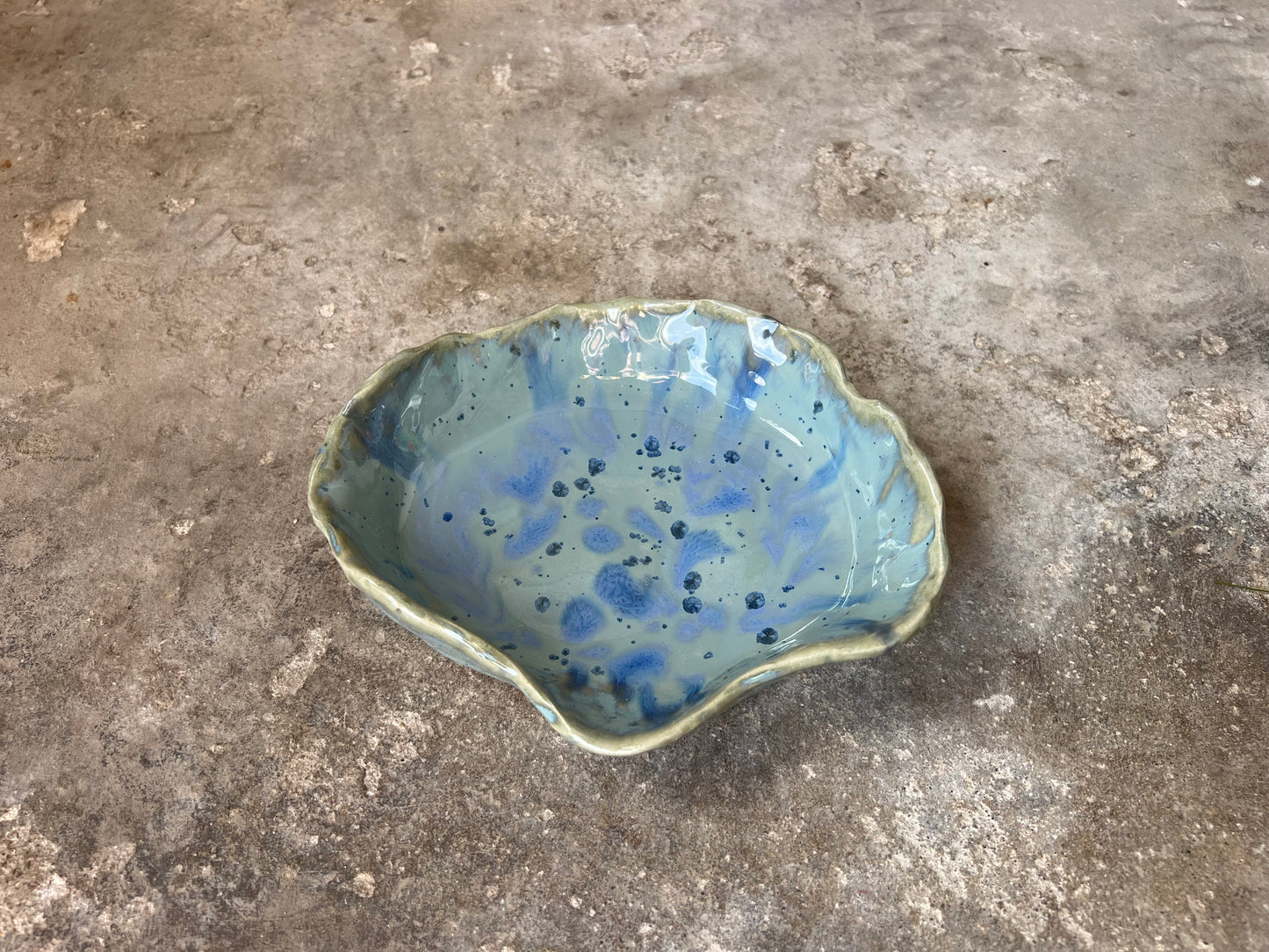 SEASHELL no3