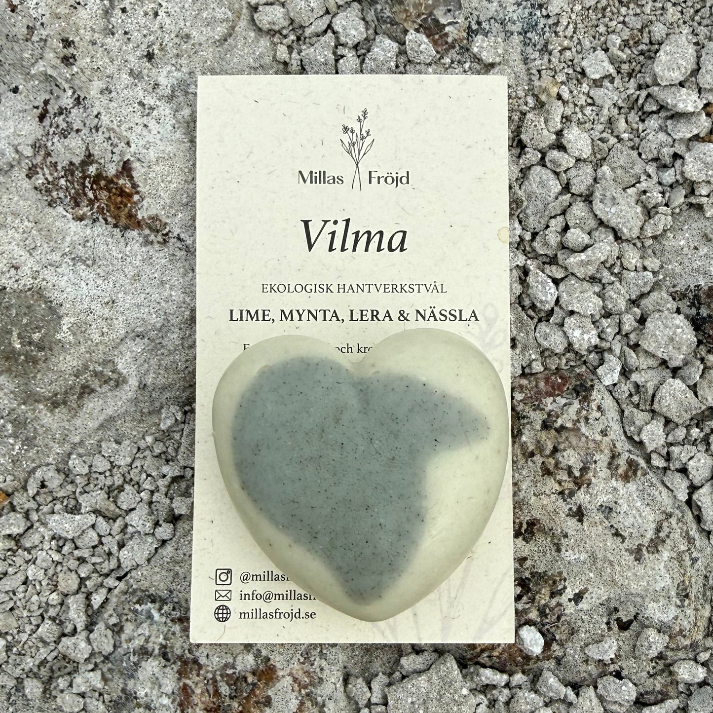 VILMA heart