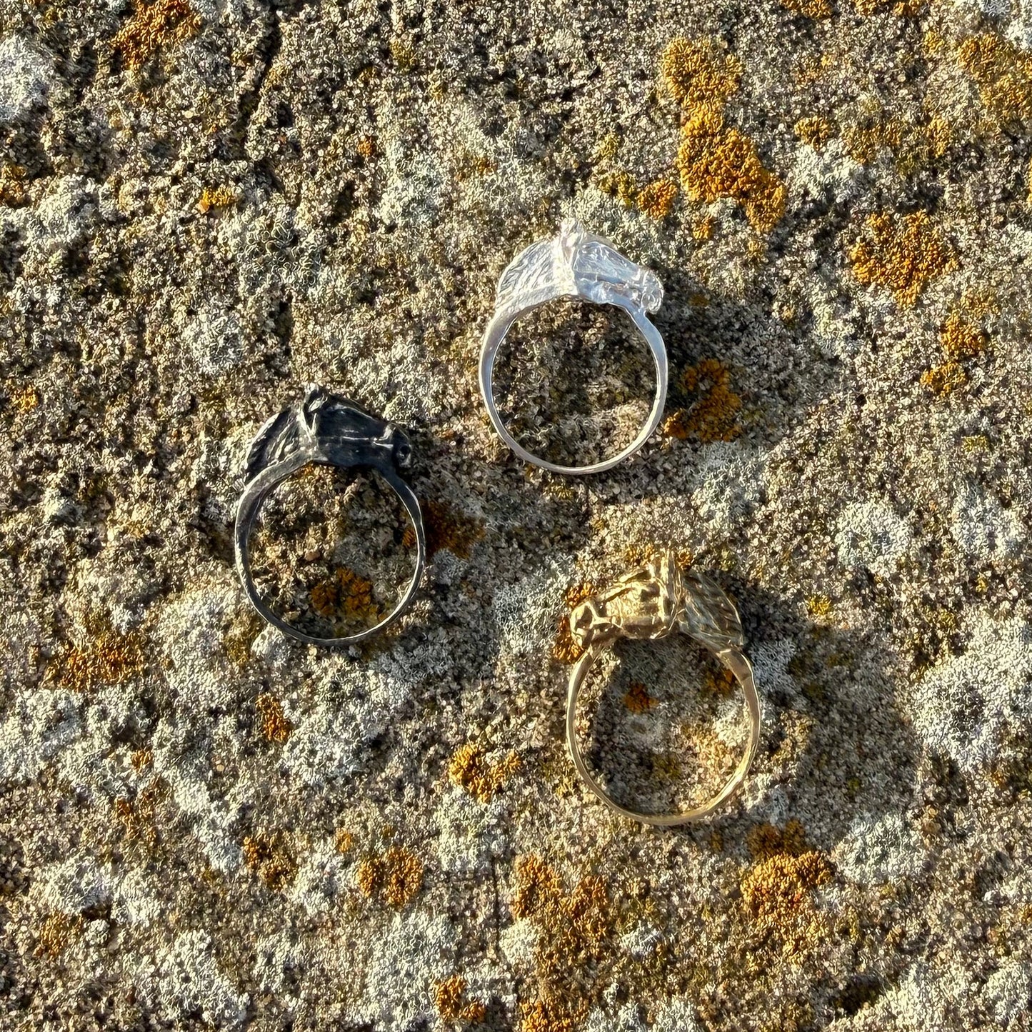 OX. SILVER HORSE RING