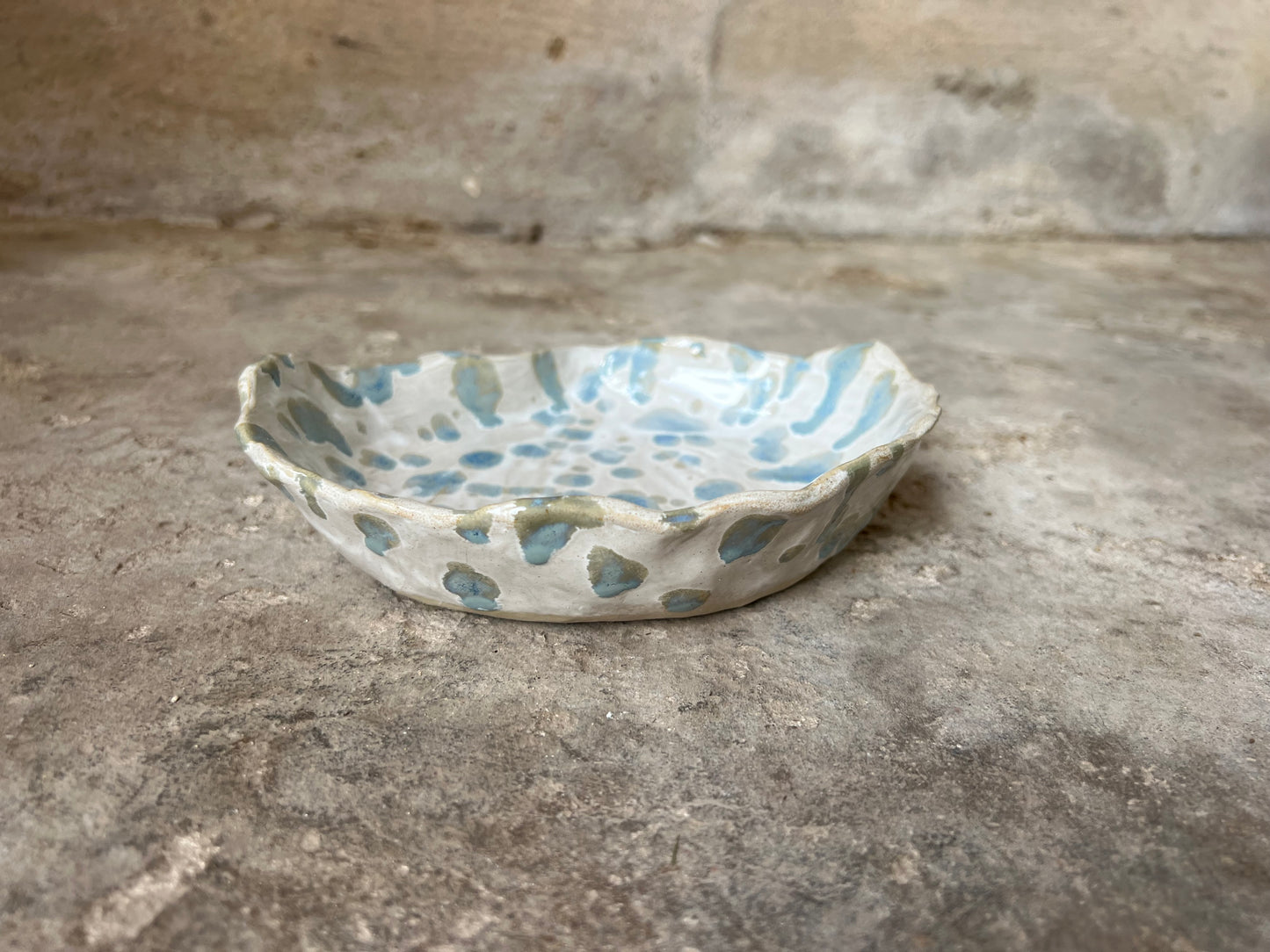 SEASHELL no2