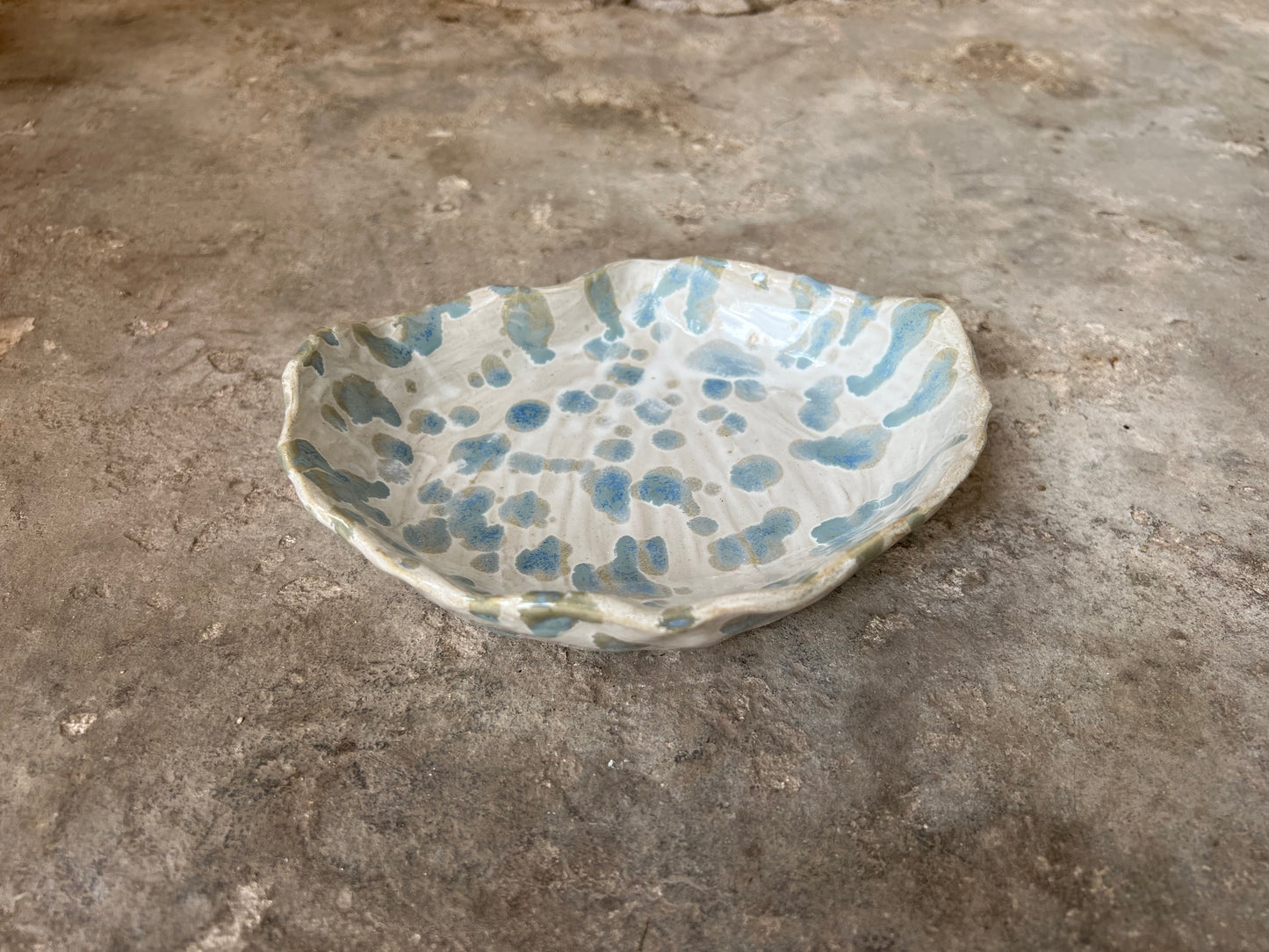 SEASHELL no2