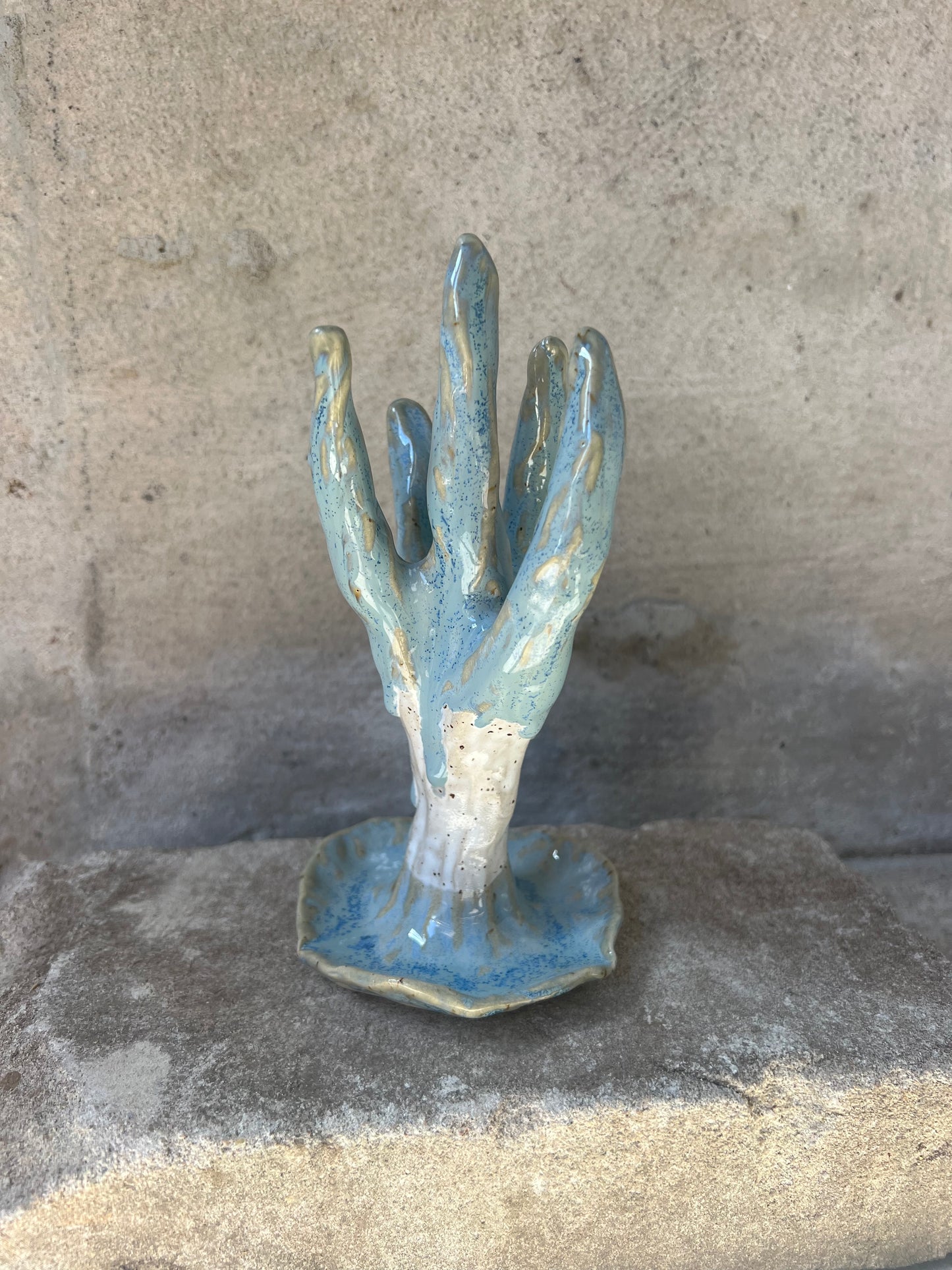 CORAL no2
