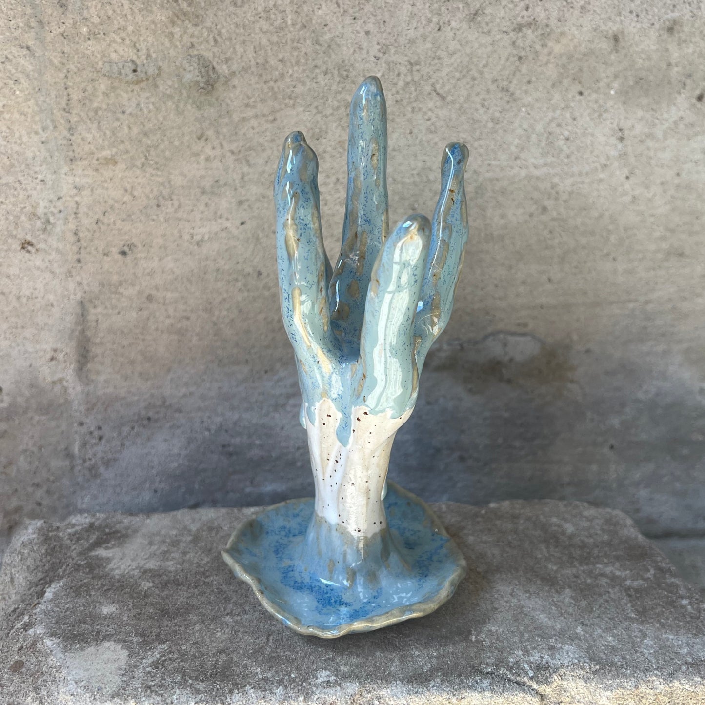 CORAL no2