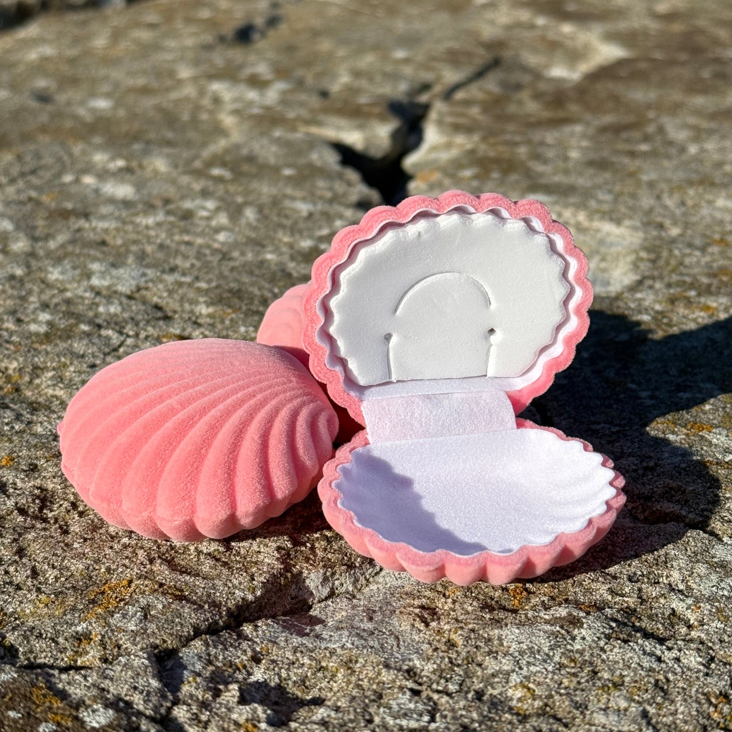 Pink seashell jewelry box on a textured stone surface