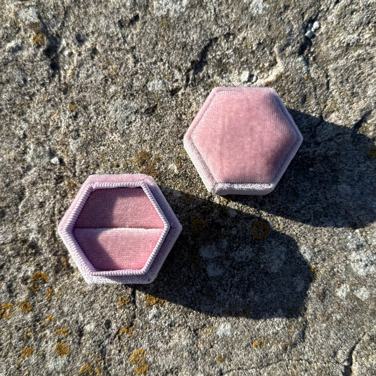 HEXAGON (pink)