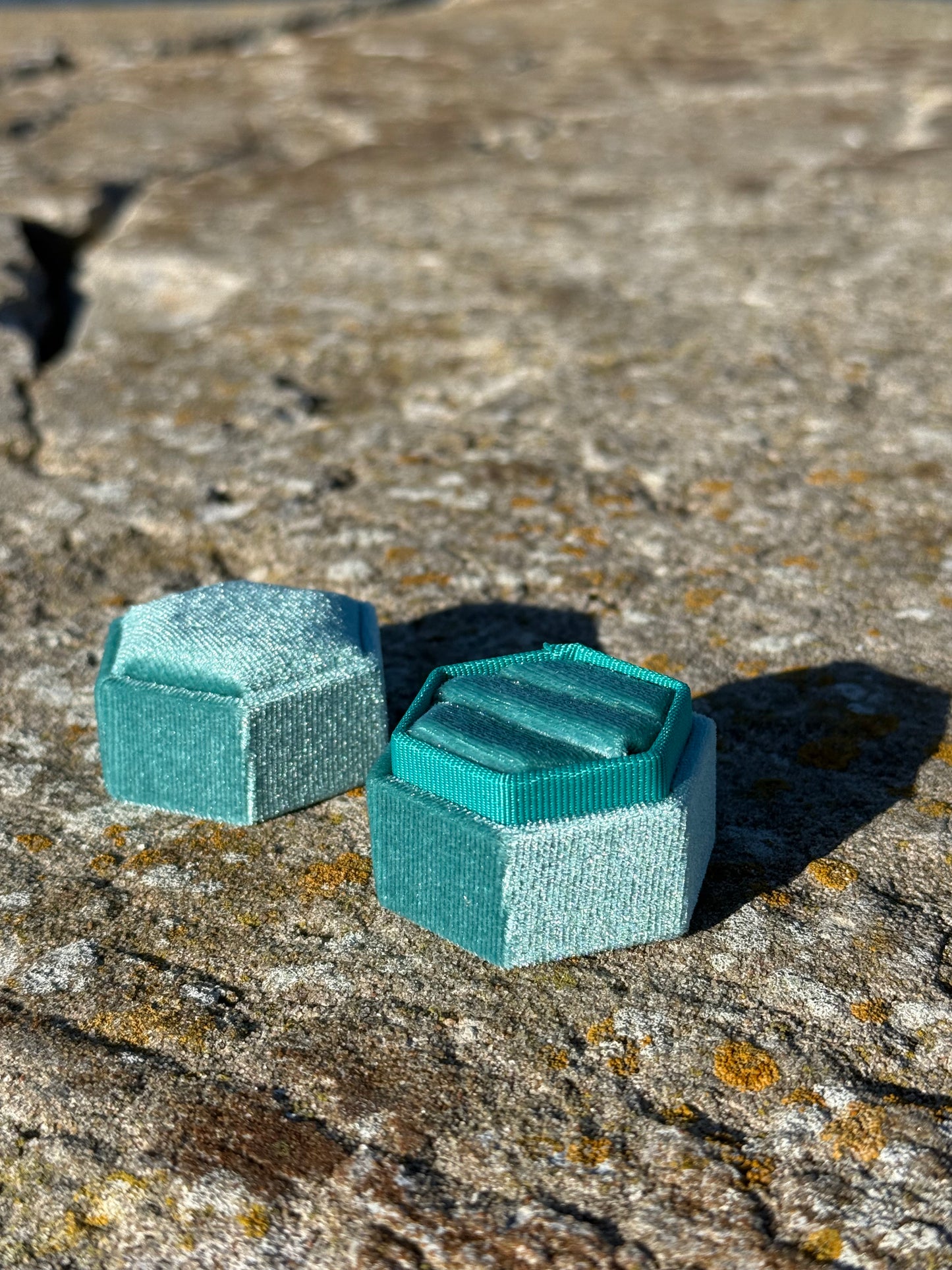 HEXAGON