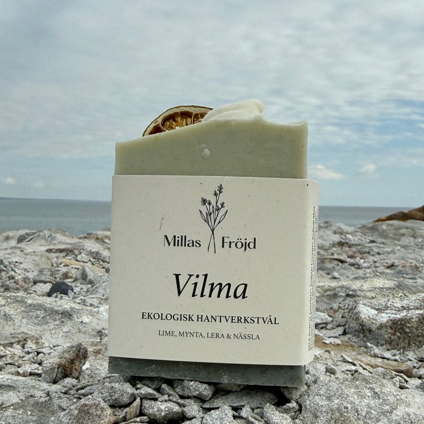 VILMA