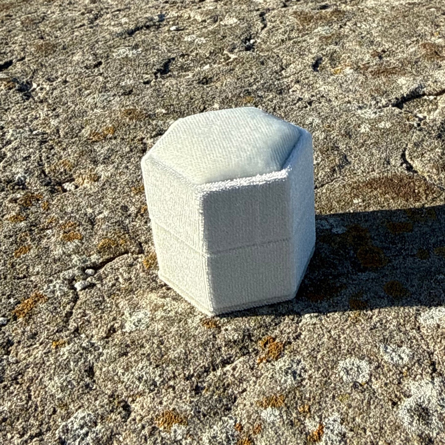 HEXAGON (white)