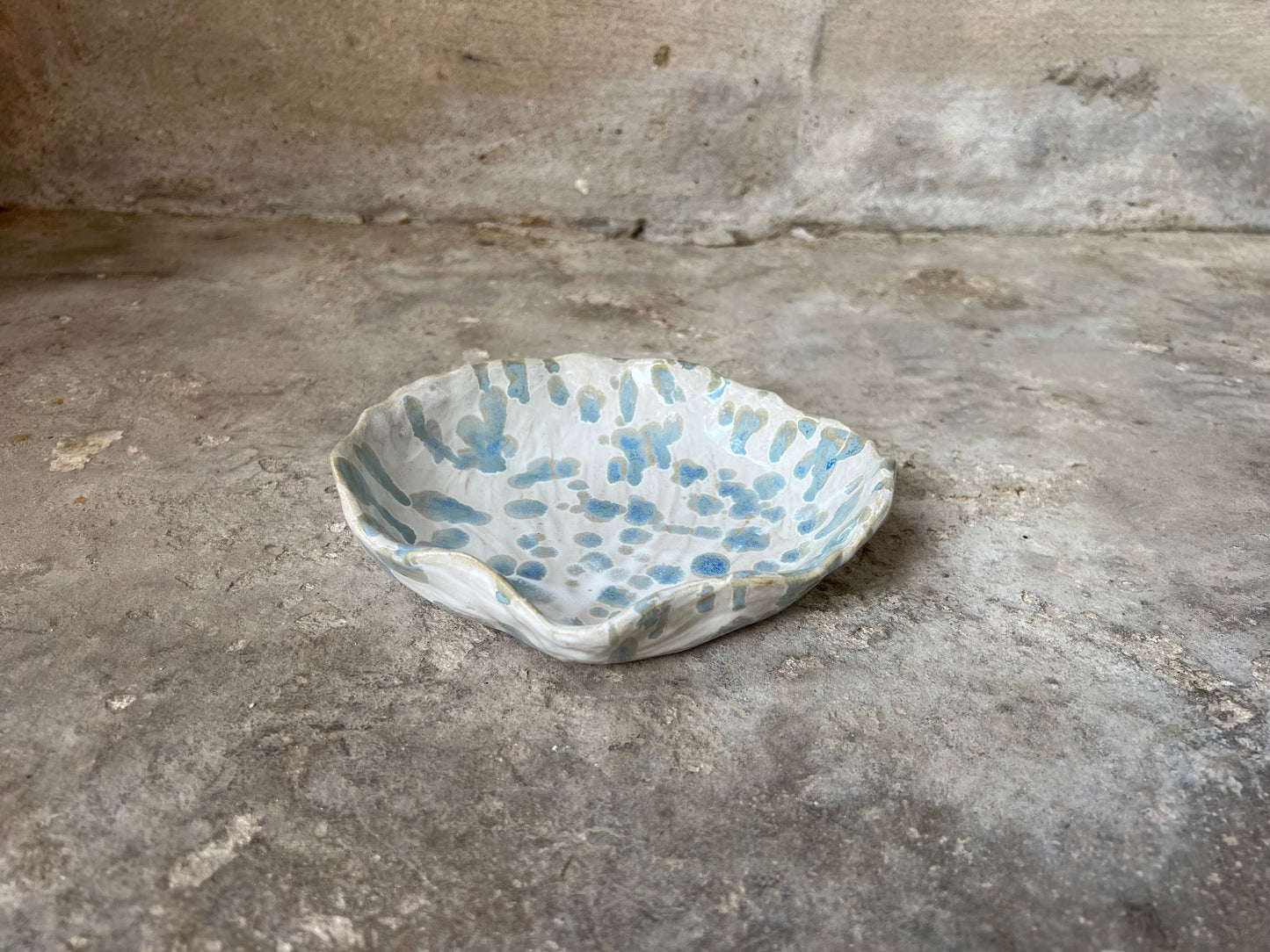 SEASHELL no2