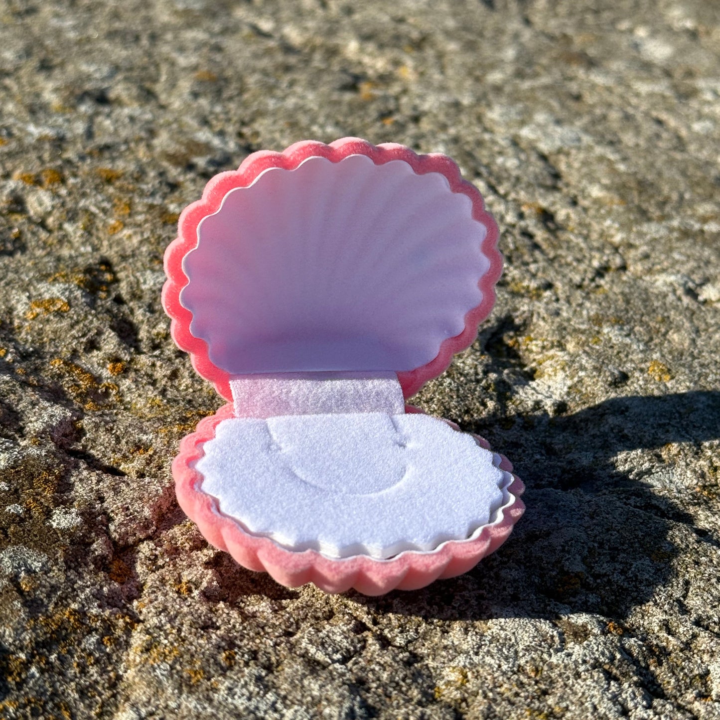 Pink and white seashell for jewelry, on a textured stone surface