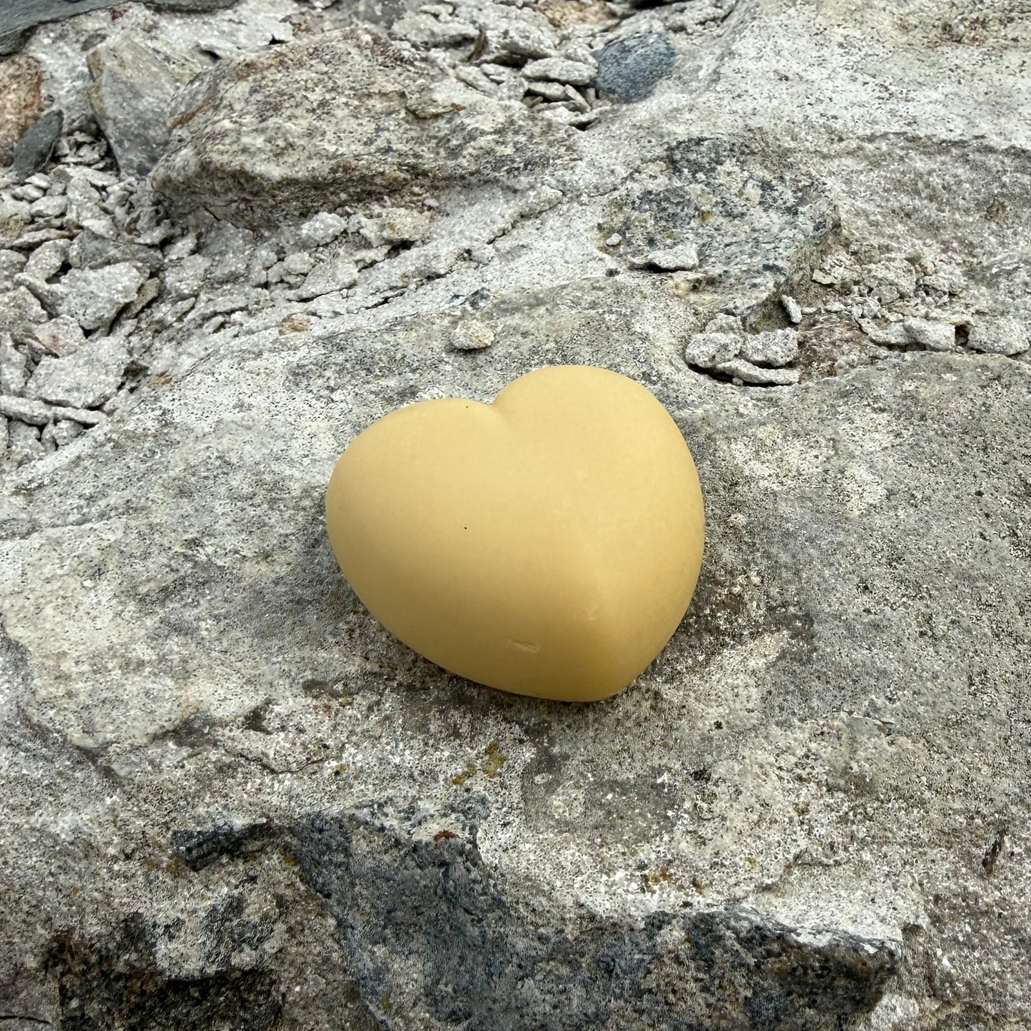 ANTON heart