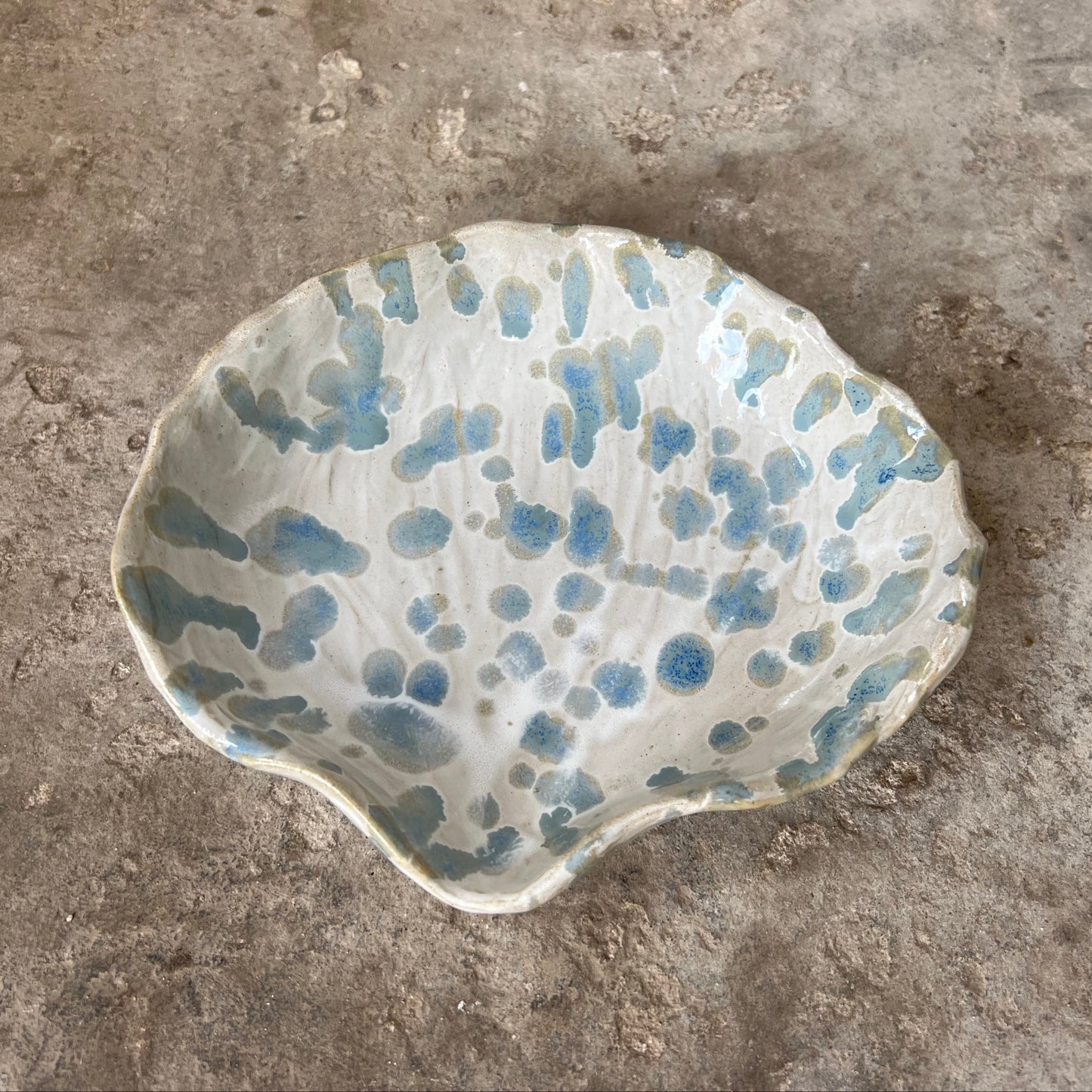 SEASHELL no2