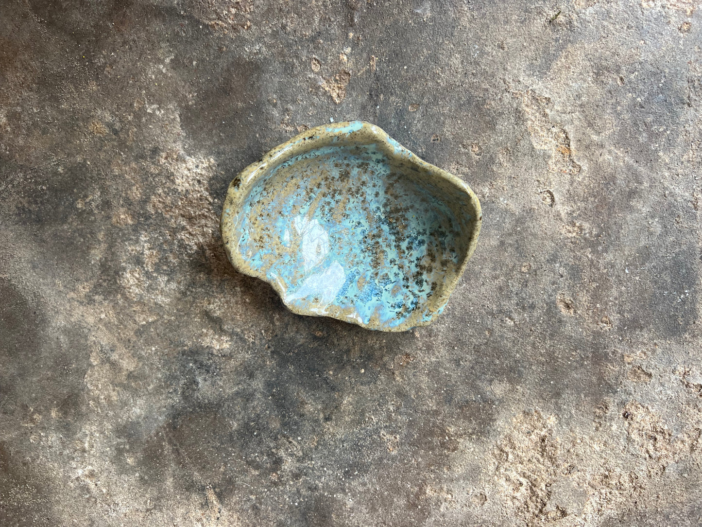 SEASHELL no6