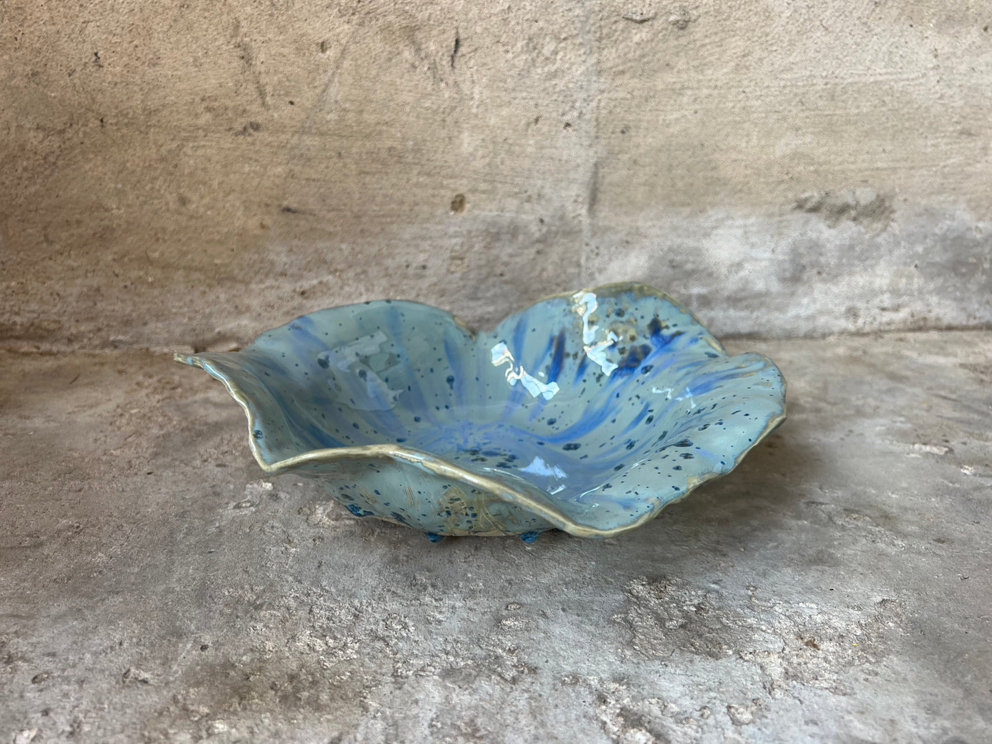 SEASHELL no1