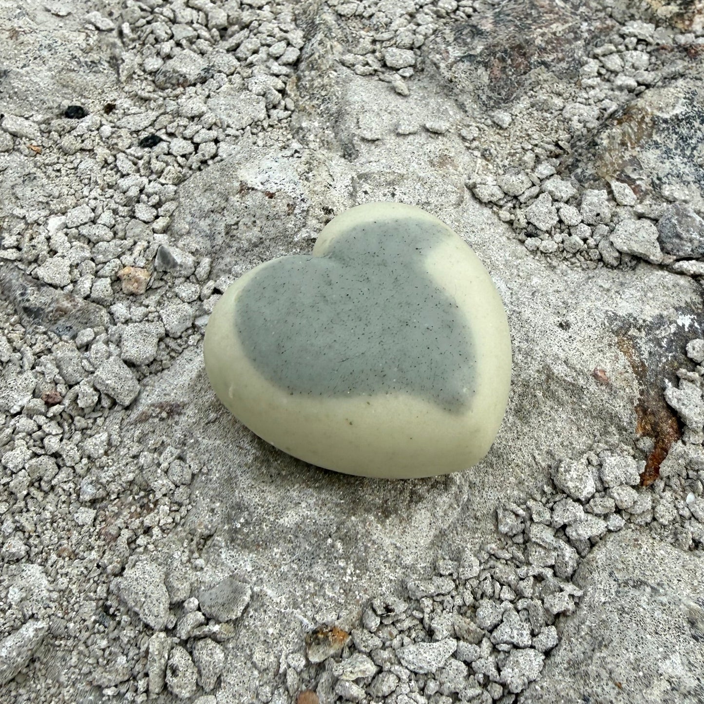 VILMA heart