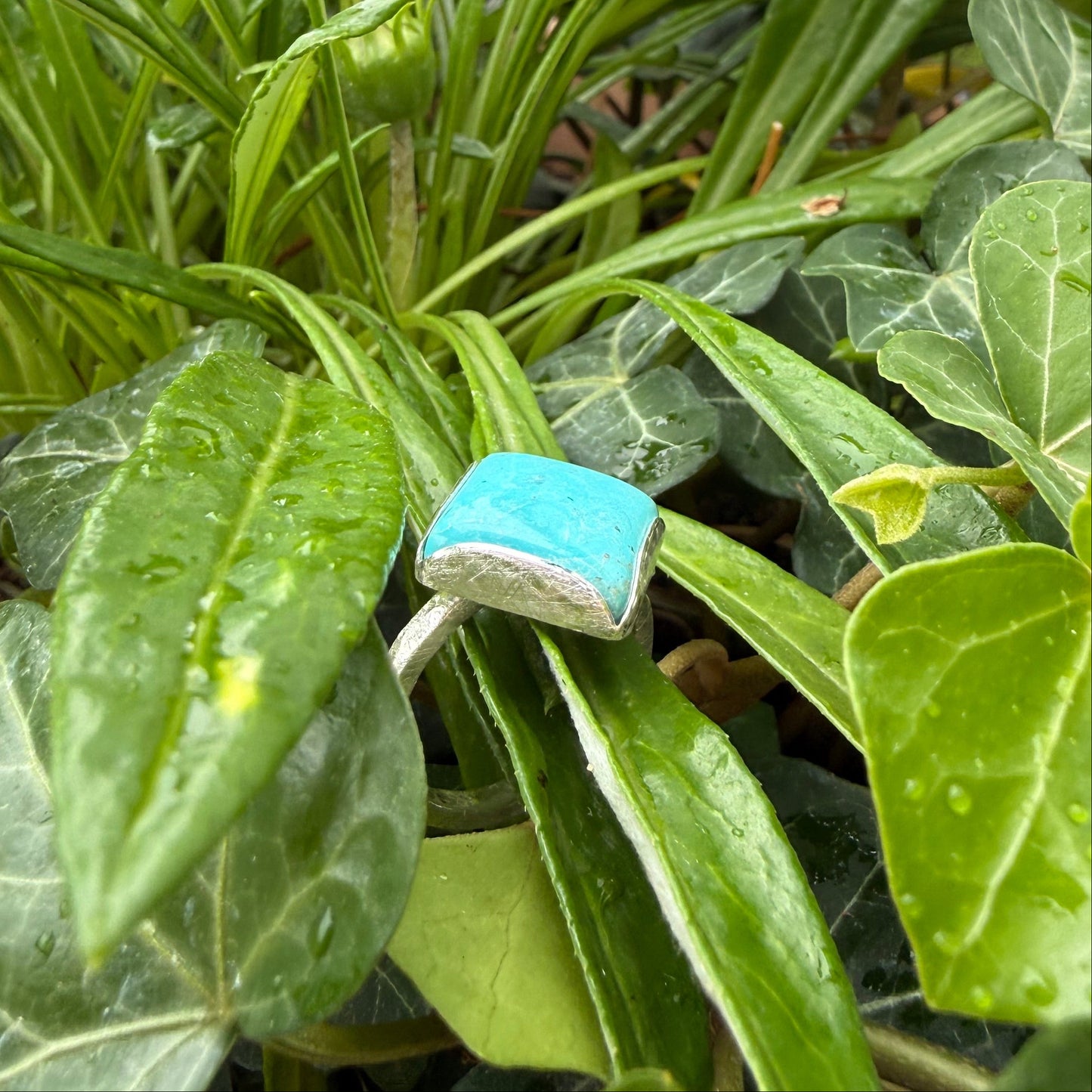 TURQUOISE