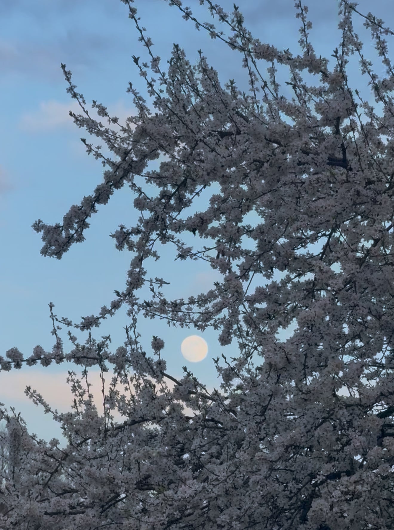 follow your heART retreat