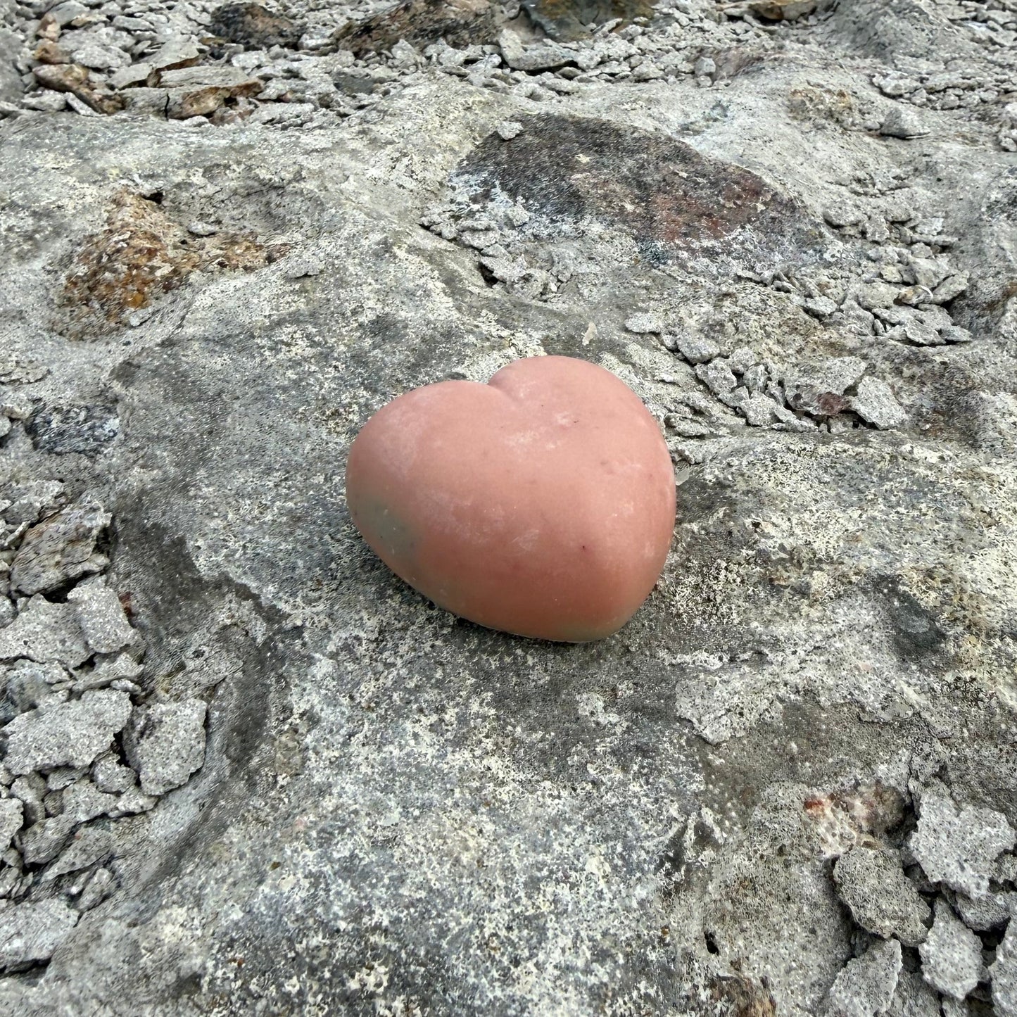 SIGNE heart
