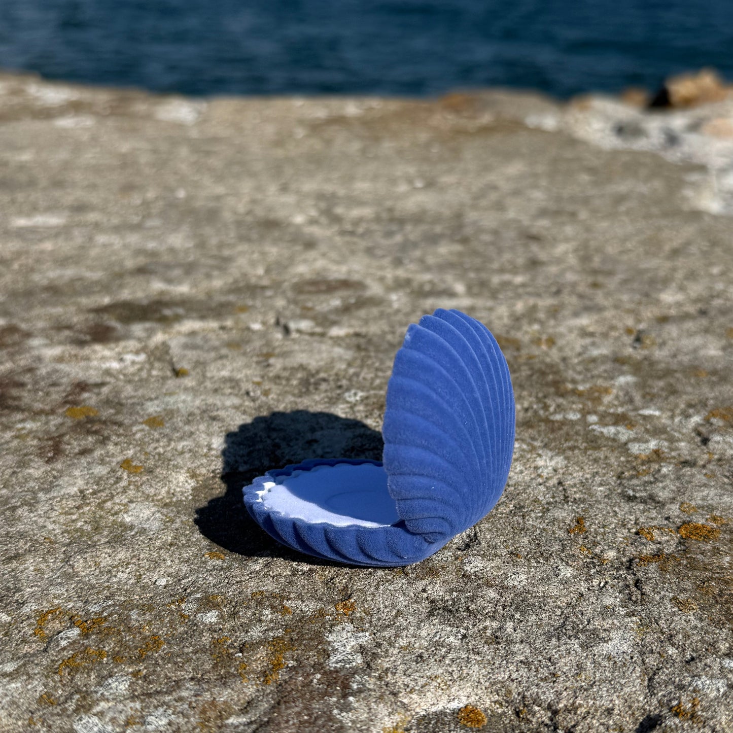 SEASHELL (blue)
