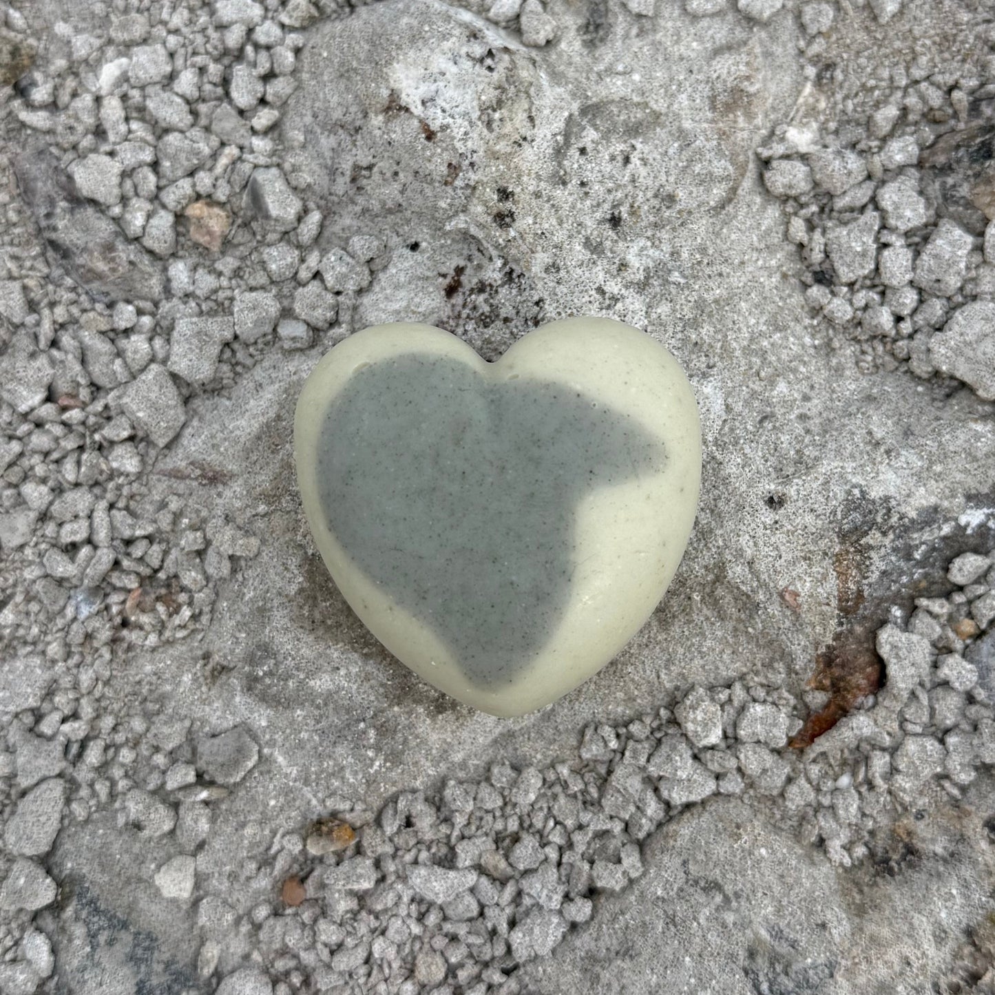 VILMA heart
