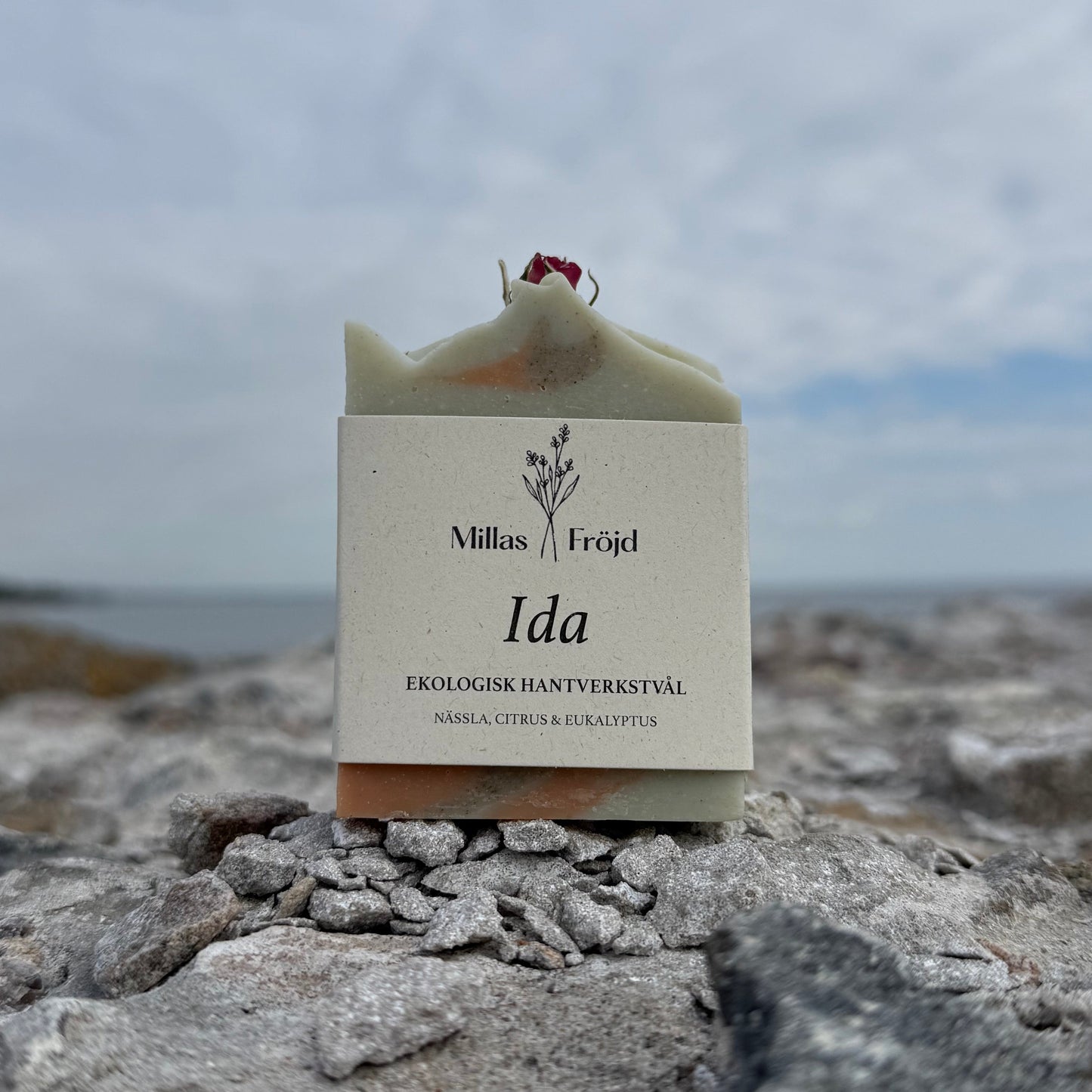IDA