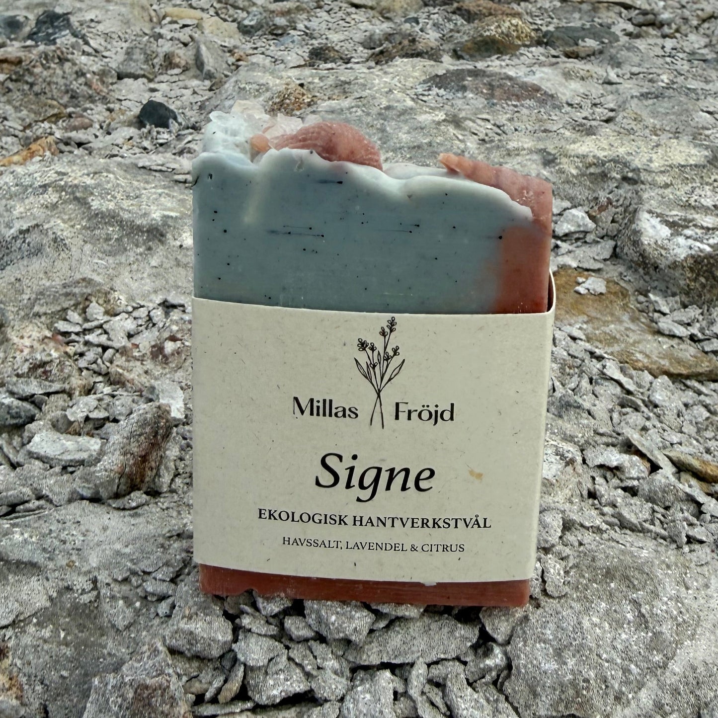 SIGNE