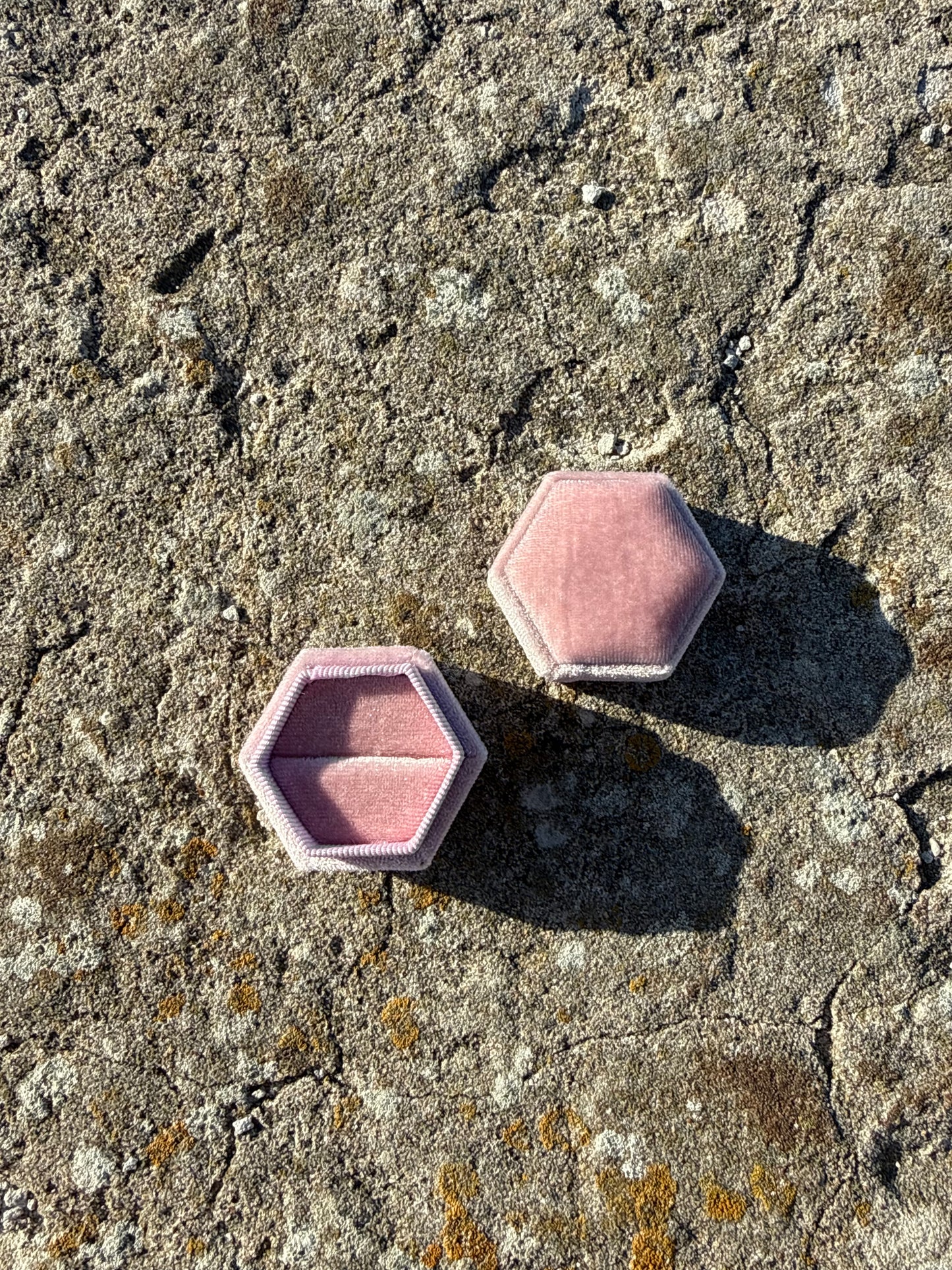 HEXAGON (pink)