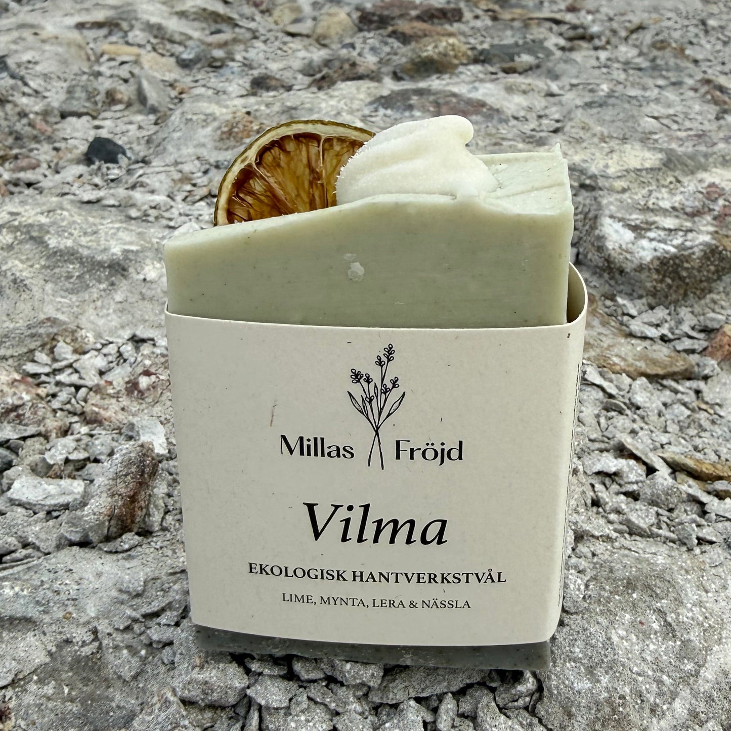 VILMA