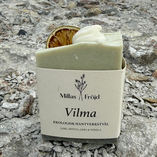 VILMA