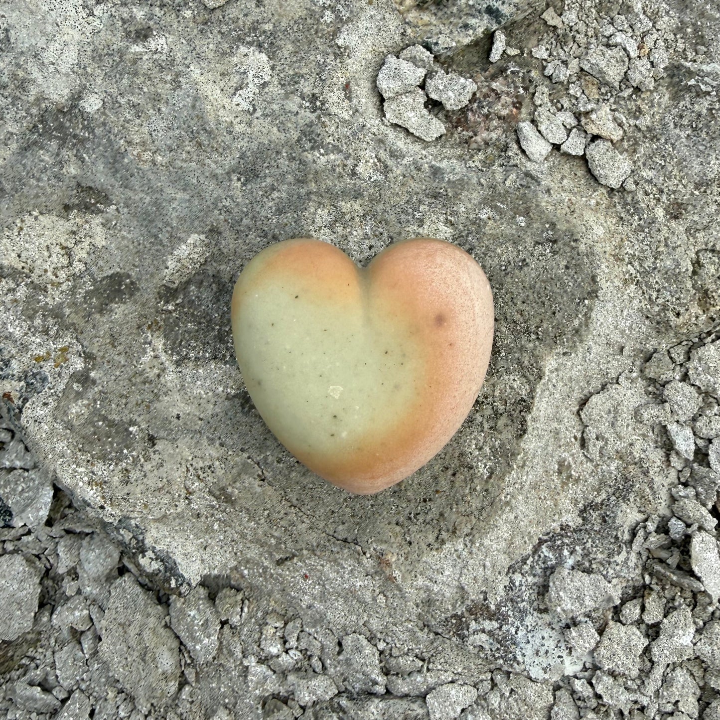 IDA heart