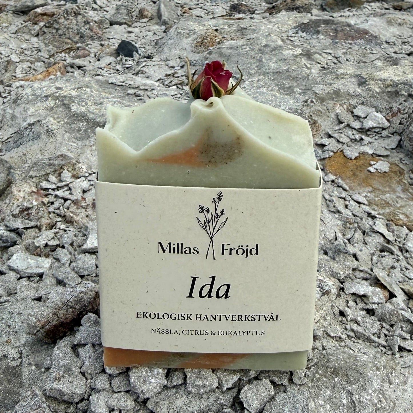 IDA