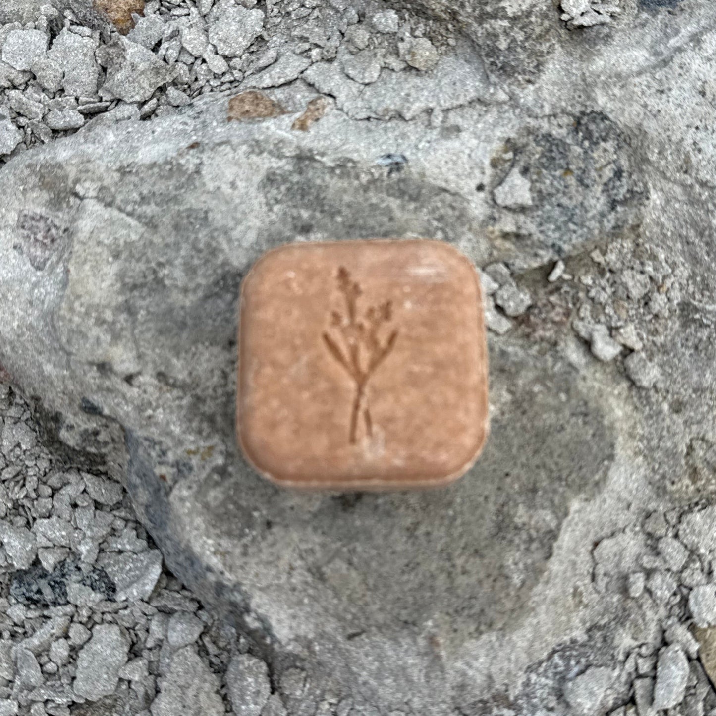 VILDVÅG schampoo