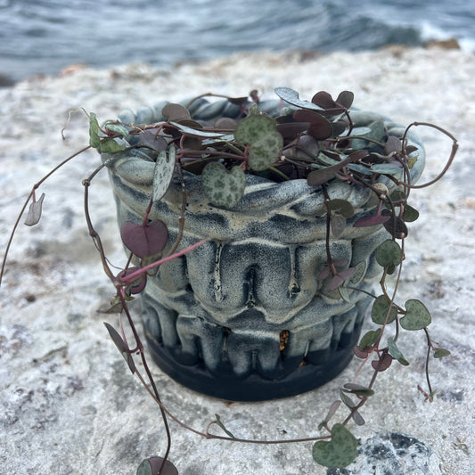 braided ceramic pot