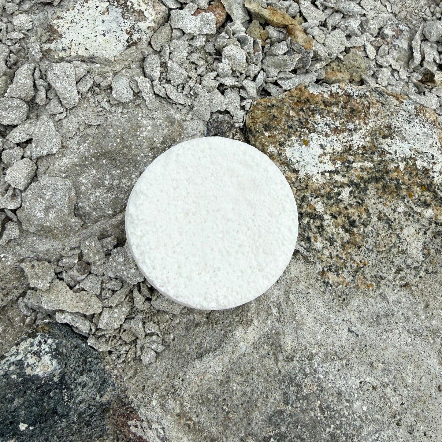 TOILET fizzies