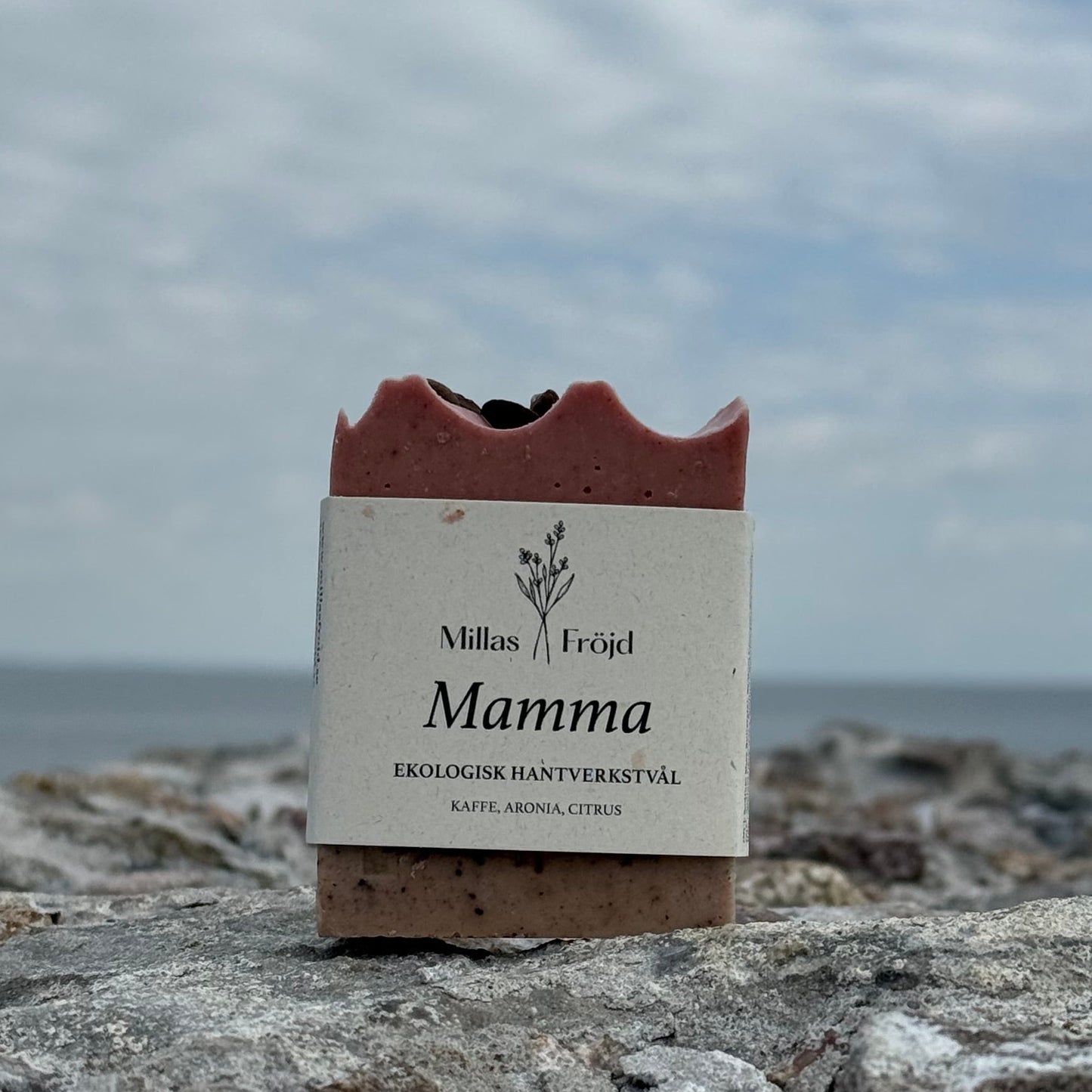 MAMMA