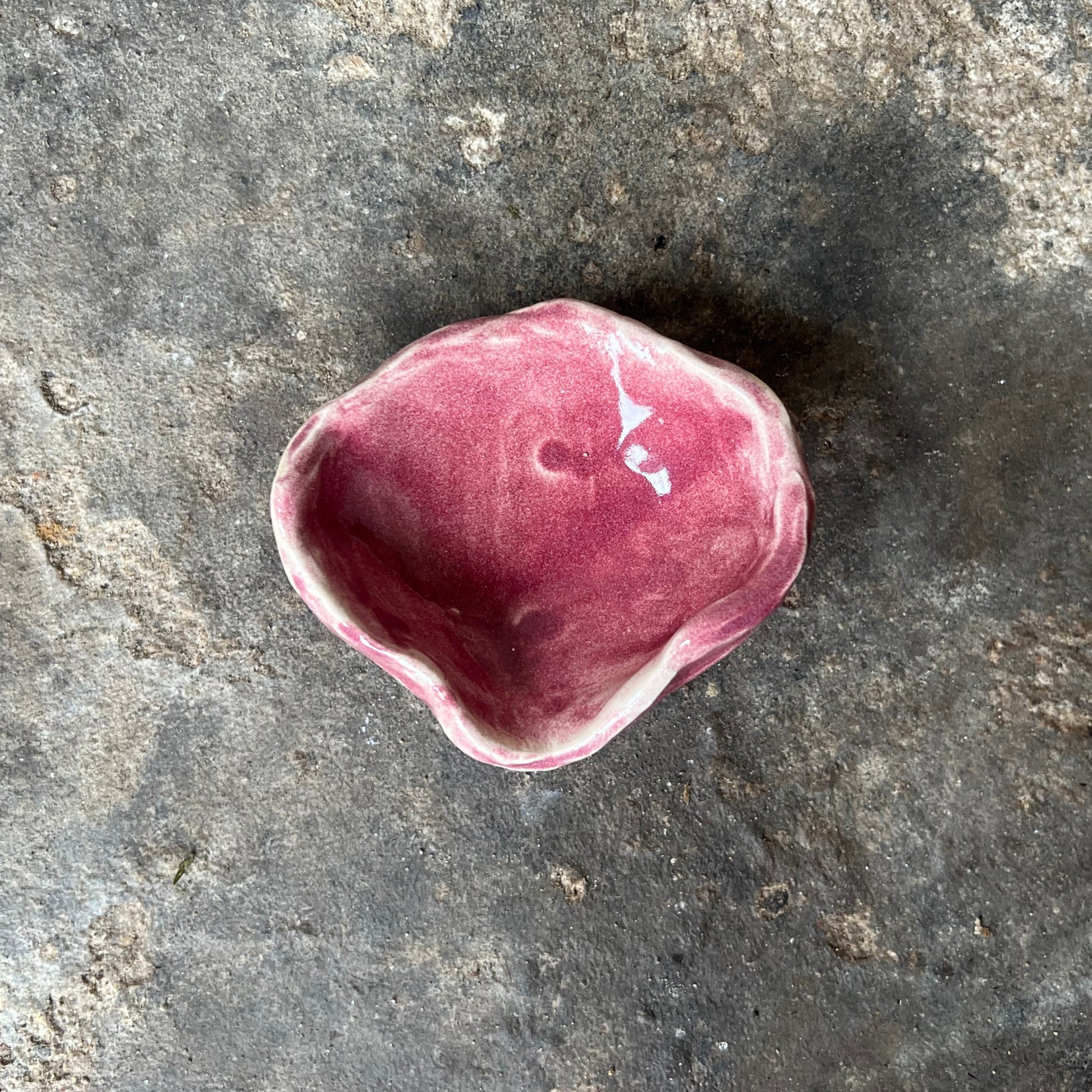 Pink ceramic shell on a textured gray surface