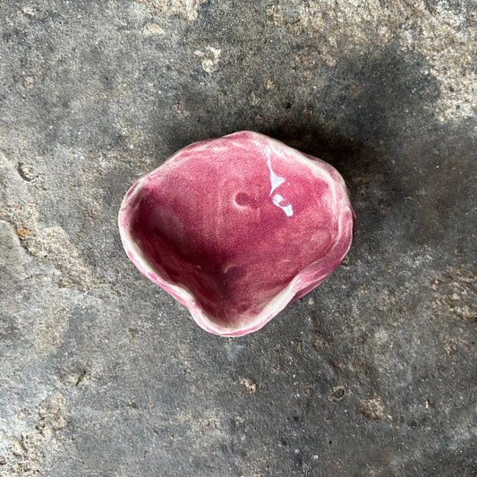Pink ceramic shell on a textured gray surface
